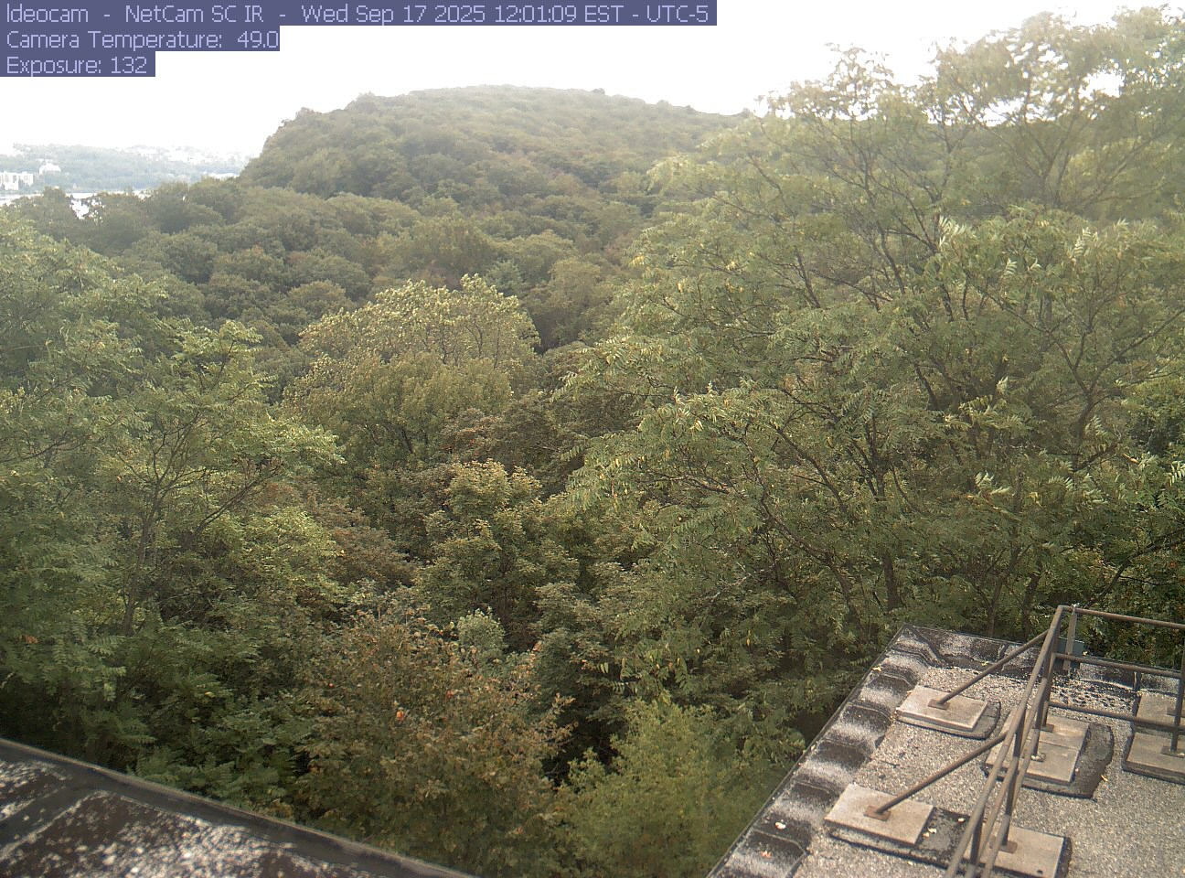 A wooded ridge rises behind close canopy at Lamont–Doherty Earth Observatory.