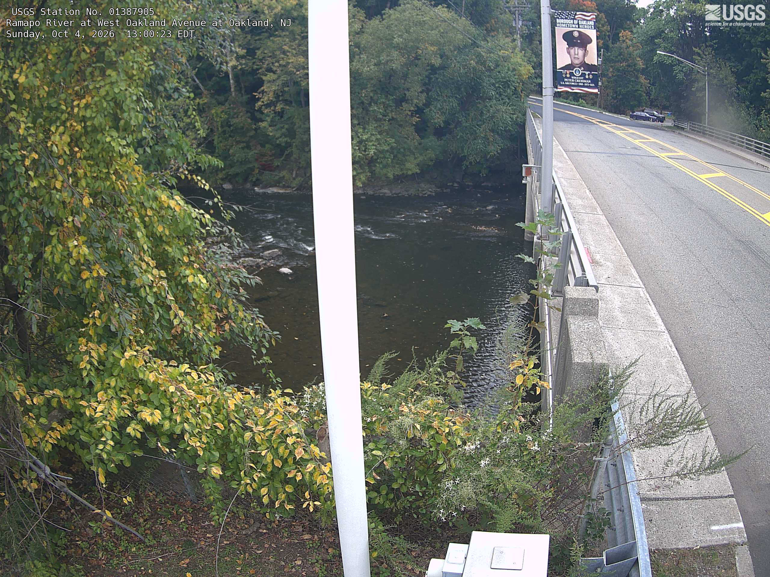 Close green and yellow leaves fill the left side above the river; further trees line the opposite bank. A white pole divides the original view, and the bridge is prominent, but nearby foliage colour and detail remain clear.