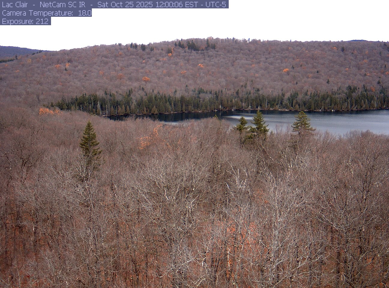 A wooded hillside and close canopy frame the water at Lac Clair.