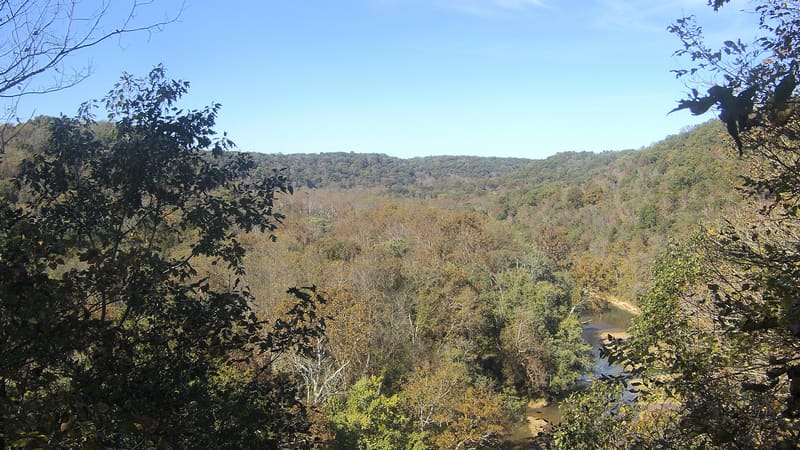 Oak branches frame a bend of the Green River with its sandbars below, and the woods on both banks turning olive, yellow and russet under a pale sky.