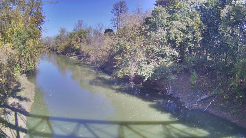 A long river bend fills the center, with large, clearly readable tree crowns along both banks. Green dominates, with yellow and muted orange through the middle distance.