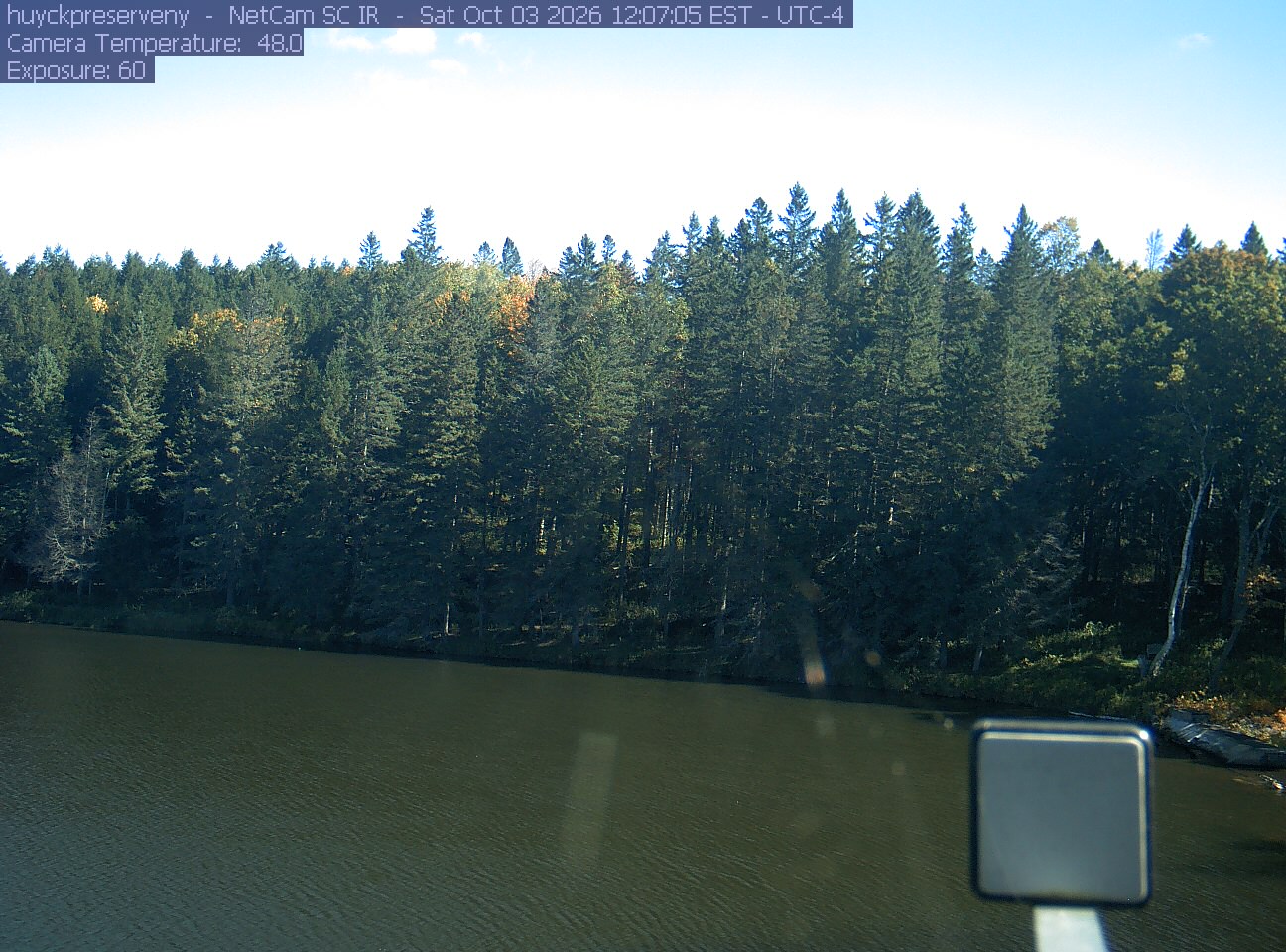 Pond below a dense wall of mostly dark evergreen-looking trees, with small yellow and orange crowns between them. Shadow hides much of the nearer foliage; glare in the upper left and a foreground instrument remain visible. Useful mixed-woodland context, with restricted color detail.