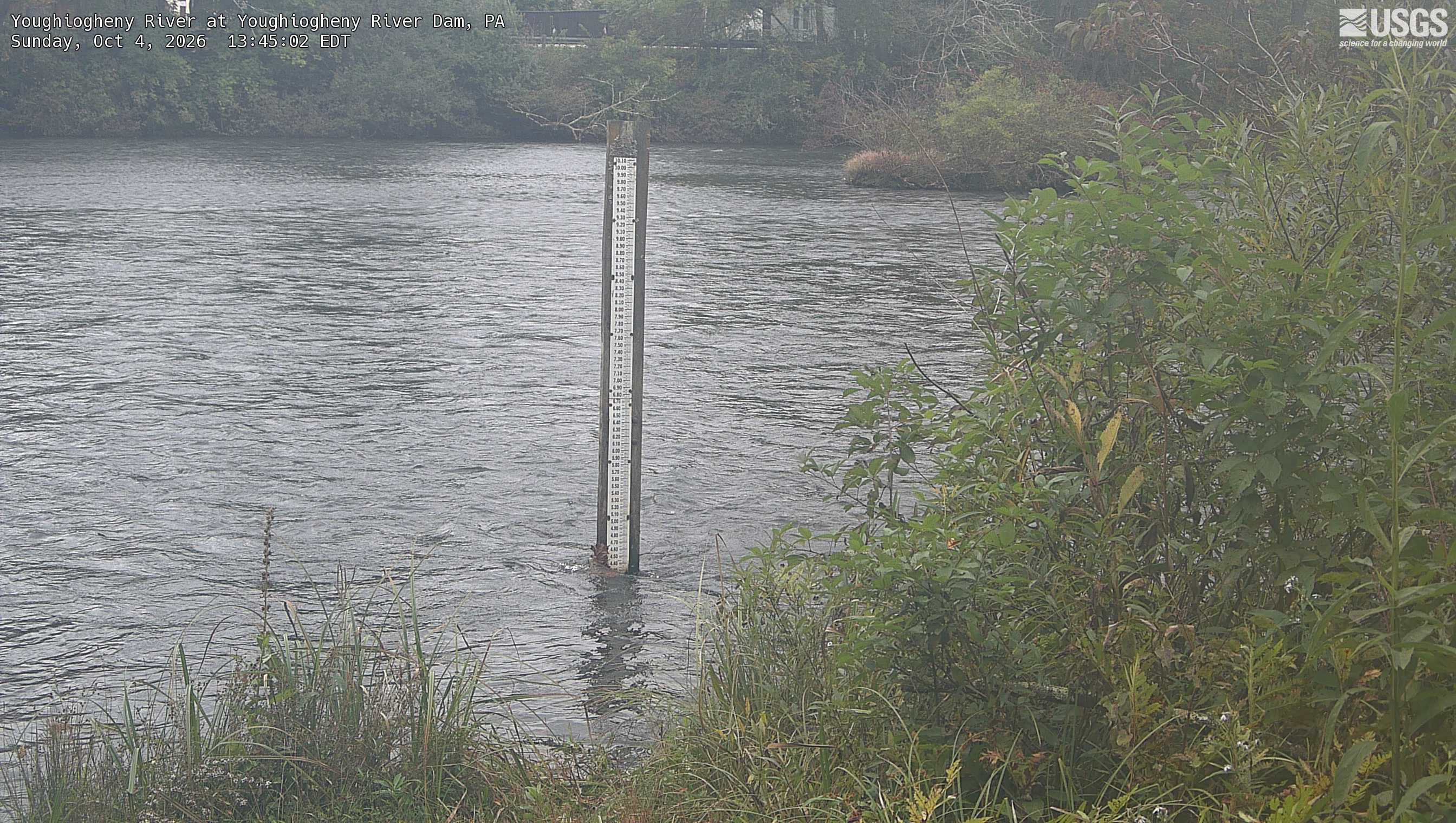 A gauge and close river surface dominate. Nearby shrubs at right and a narrow upper tree strip are readable but flat light limits colour and canopy coverage.