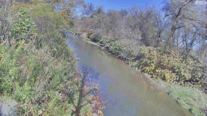 A long creek reach enclosed by dense trees and shrubs, mostly green with small yellowing branches and patches of red leaves. Light haze and low contrast soften color, but the crowns and local vegetation remain readable. Near vines and shrubs are part of the scene, not identified tree species.