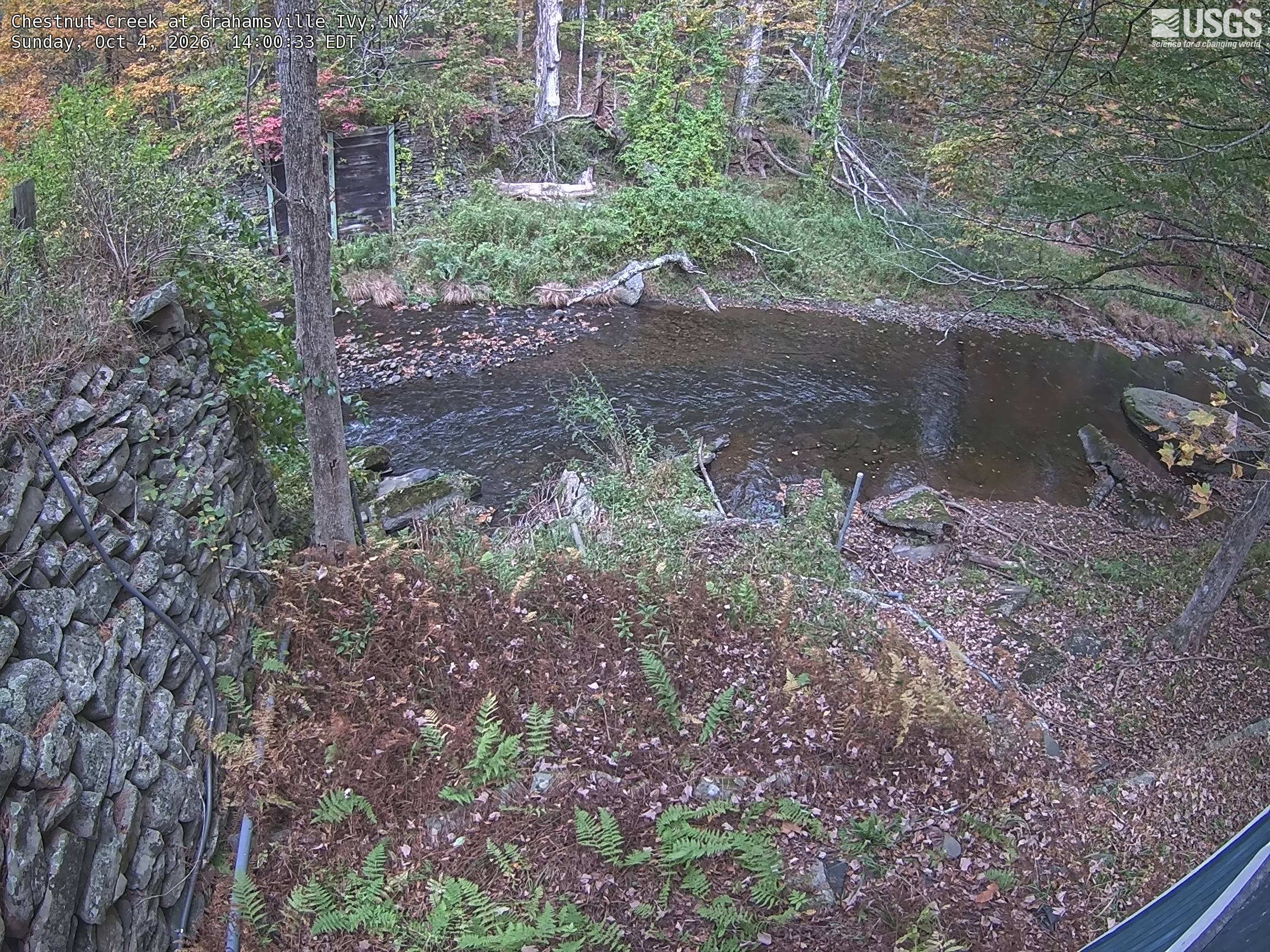 A clear wooded creek bend with yellow-orange and pink-red leaves among green bank trees, ferns and stone walls. The camera looks down into a small woodland patch; low gauge pipes and a foreground railing remain visible. This alternate angle improves on the badly tilted first camera at the same station and adds one location only.