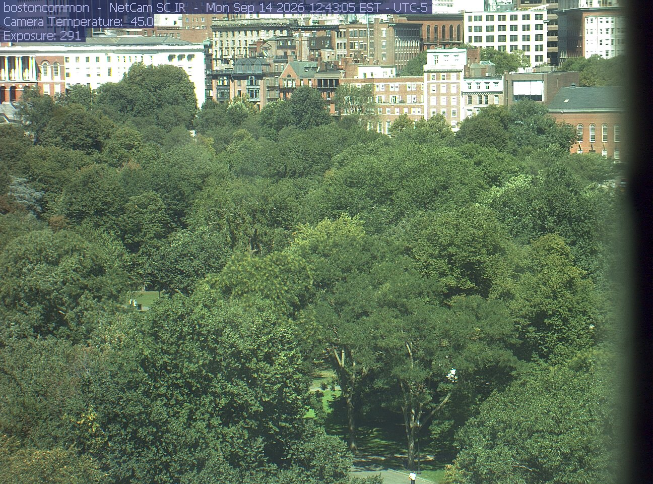 Buildings rise behind the park canopy; a fixed structure covers part of the right edge.