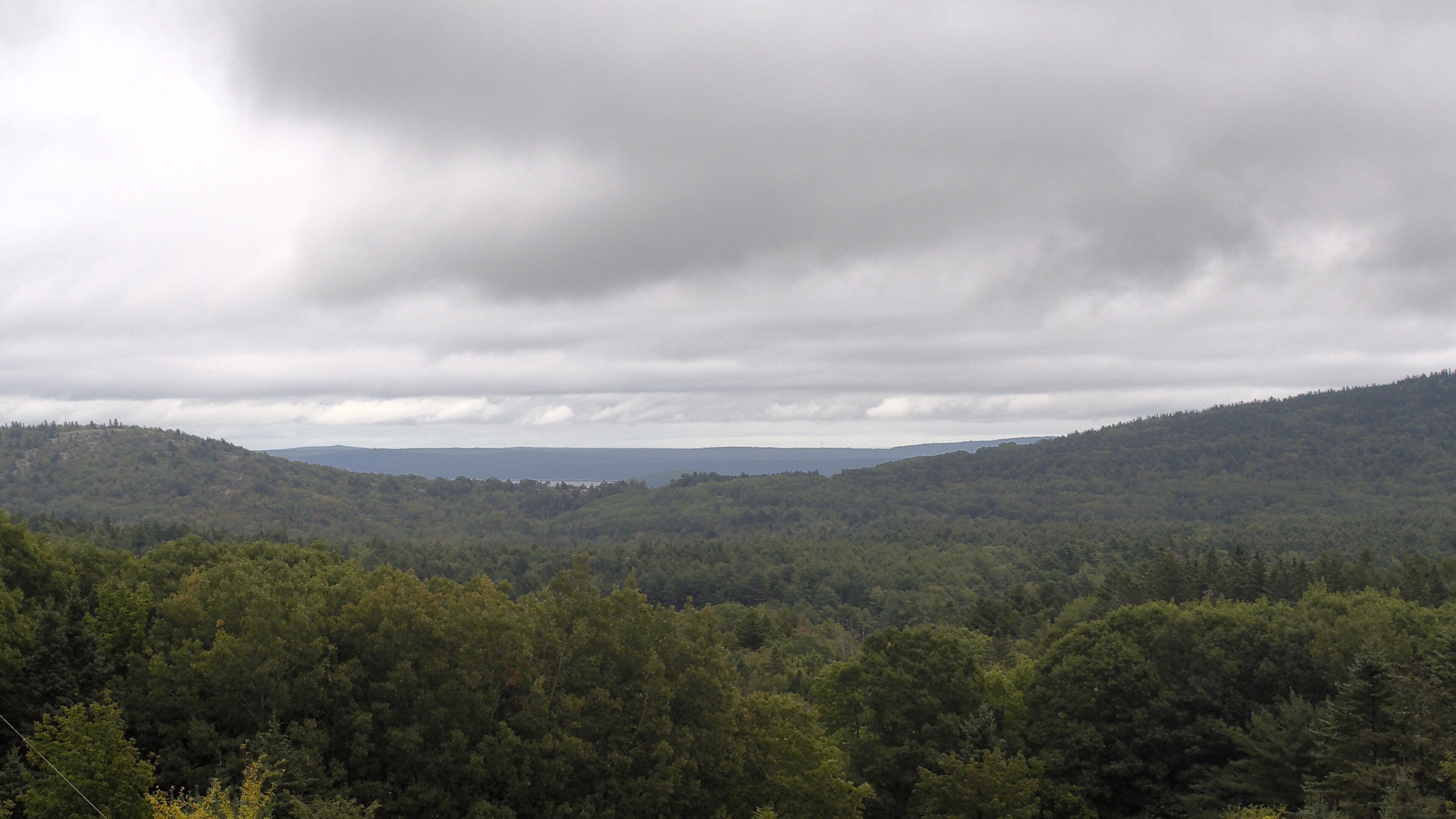A wooded valley opens toward distant water, seen from McFarland Hill.