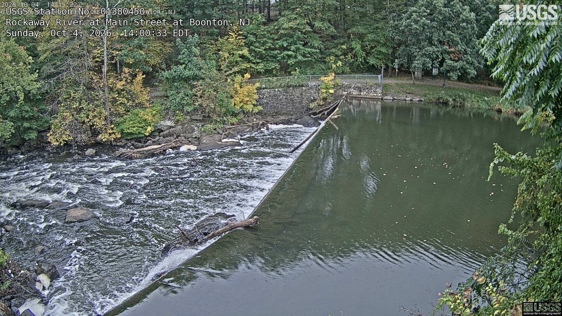 A long diagonal weir runs below a wooded bank with clear green and yellow foliage, stone edging and fallen logs. Trees occupy a substantial upper-left part of the scene. Two visible clocks disagree on minutes, so only their shared October 4 local date is asserted.