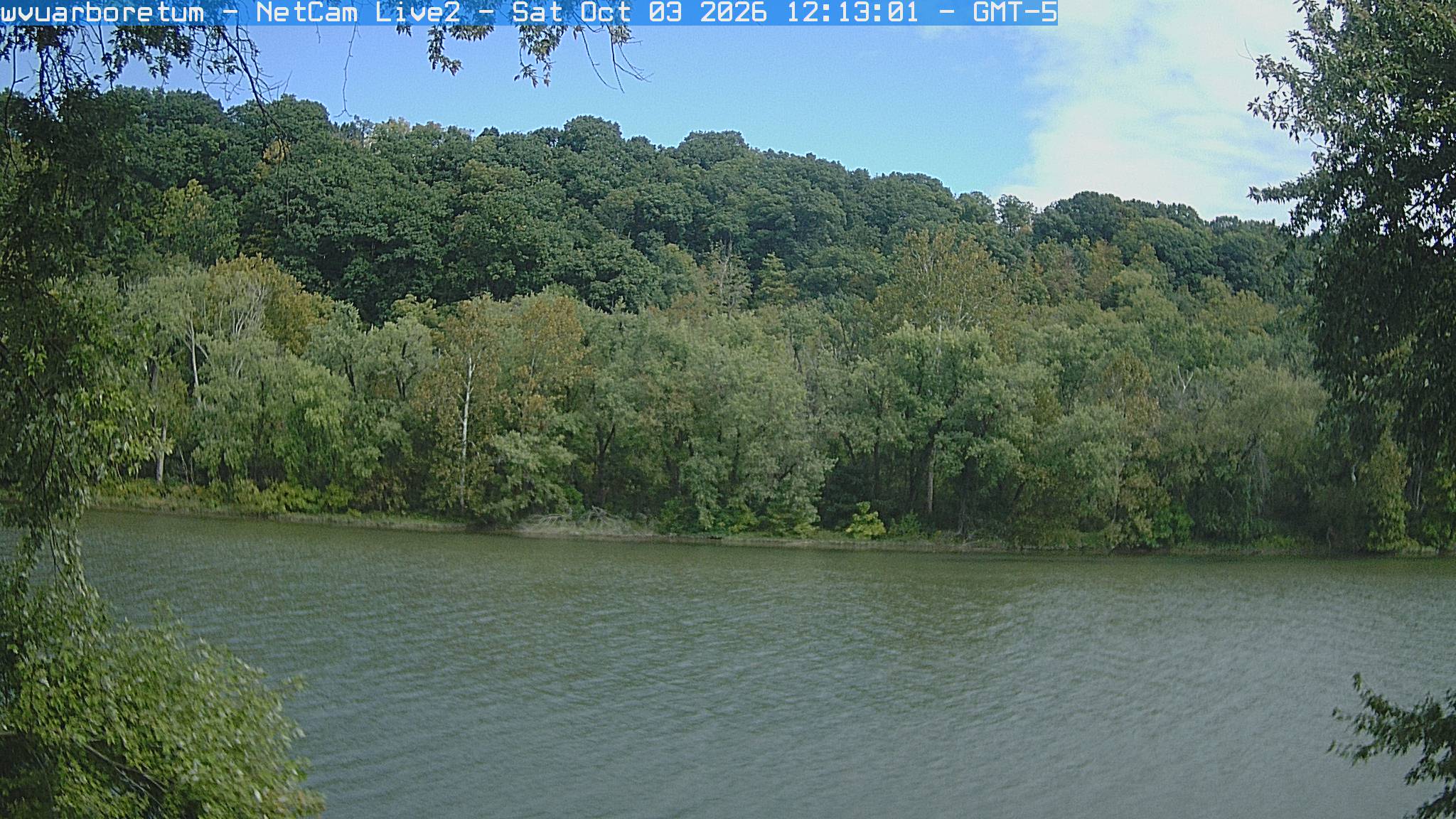 A wooded riverbank and hill stand across open water, with mostly green crowns and scattered yellowing trees. Near framing branches and the far bank remain legible.