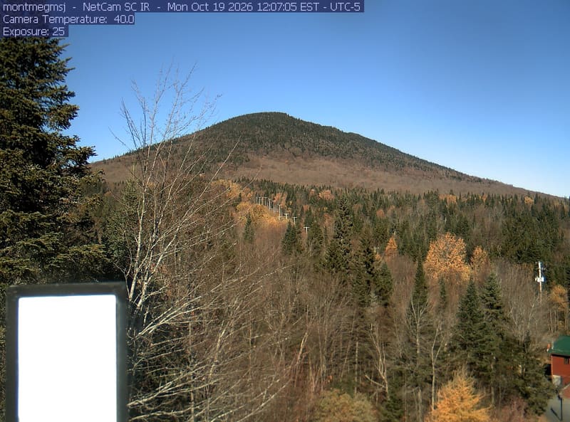 Gold and orange broadleaf crowns spread through the foreground and mountain slope among dark conifers.