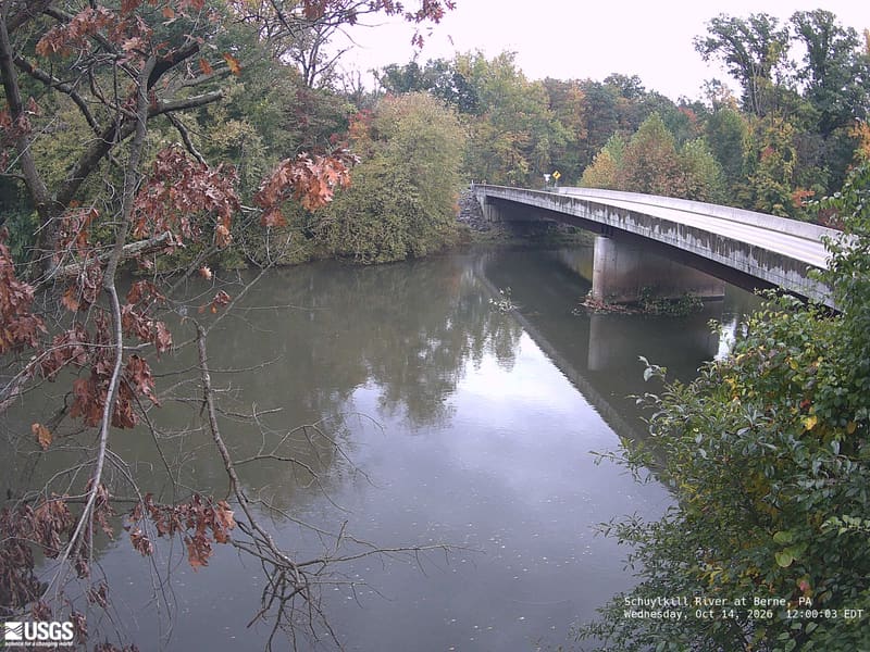 Clear wooded banks around a bridge and reflective river. Nearby leaves at left are brown and sparse; the farther canopy is predominantly green with some yellow. Those brown foreground leaves alone do not describe the whole canopy.