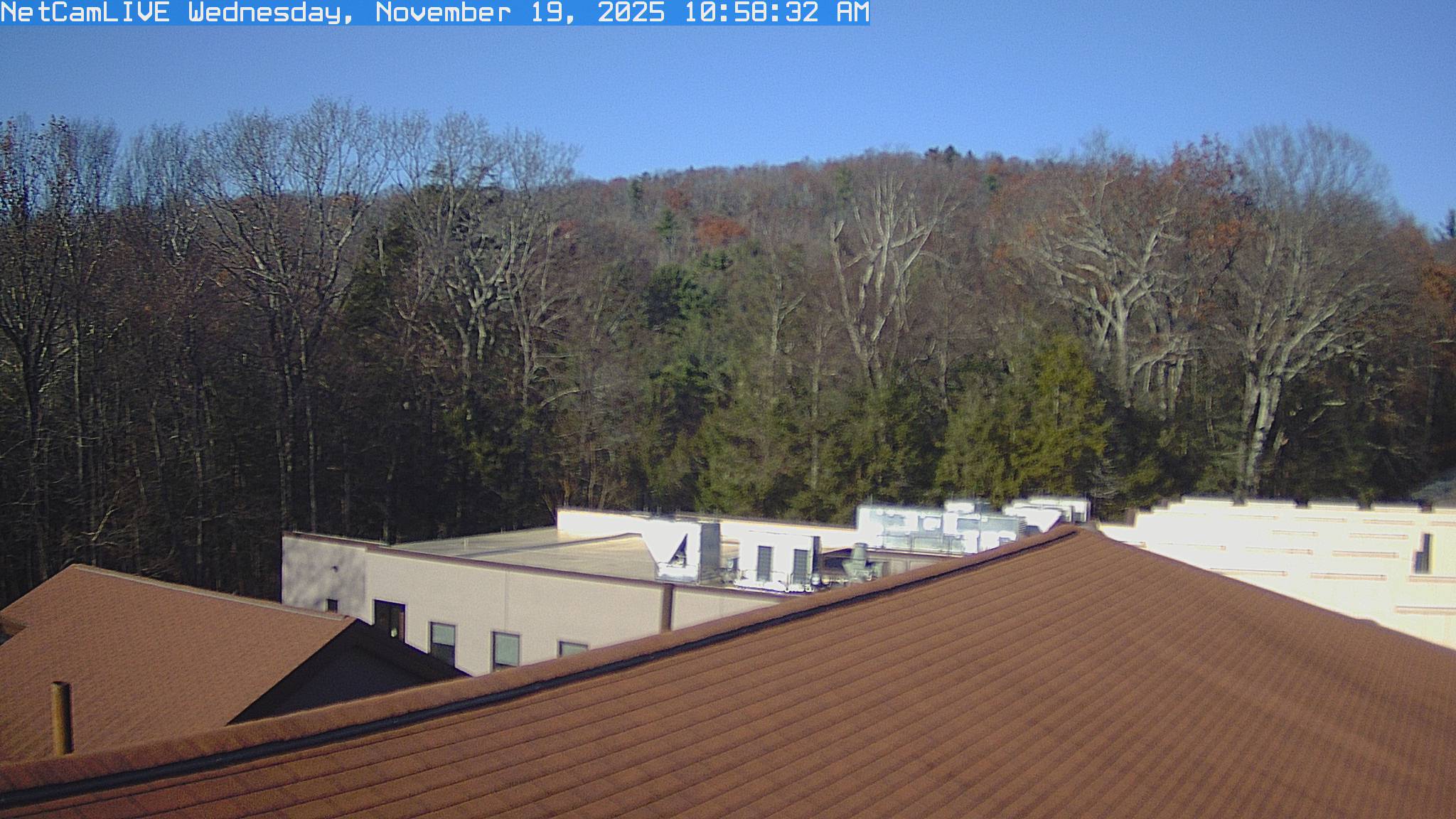 A rooftop camera at the Cary Institute in Millbrook looks over a shingle roof and a flat-roofed building to broadleaf woods and a ridge.