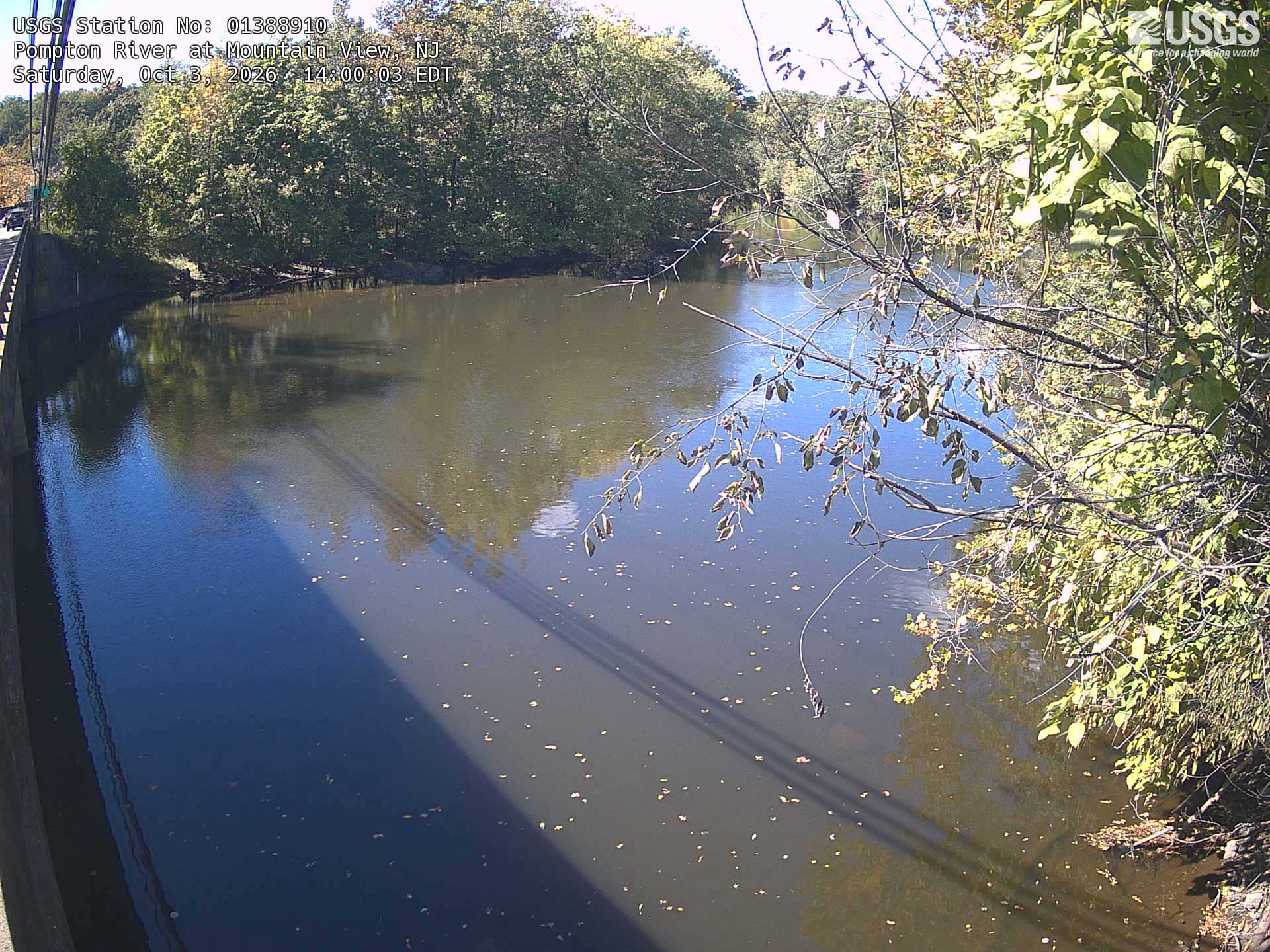 A broad river bend has readable wooded banks, mostly green with early yellow change. Close branches partly cross the right side and a bridge occupies the left edge.