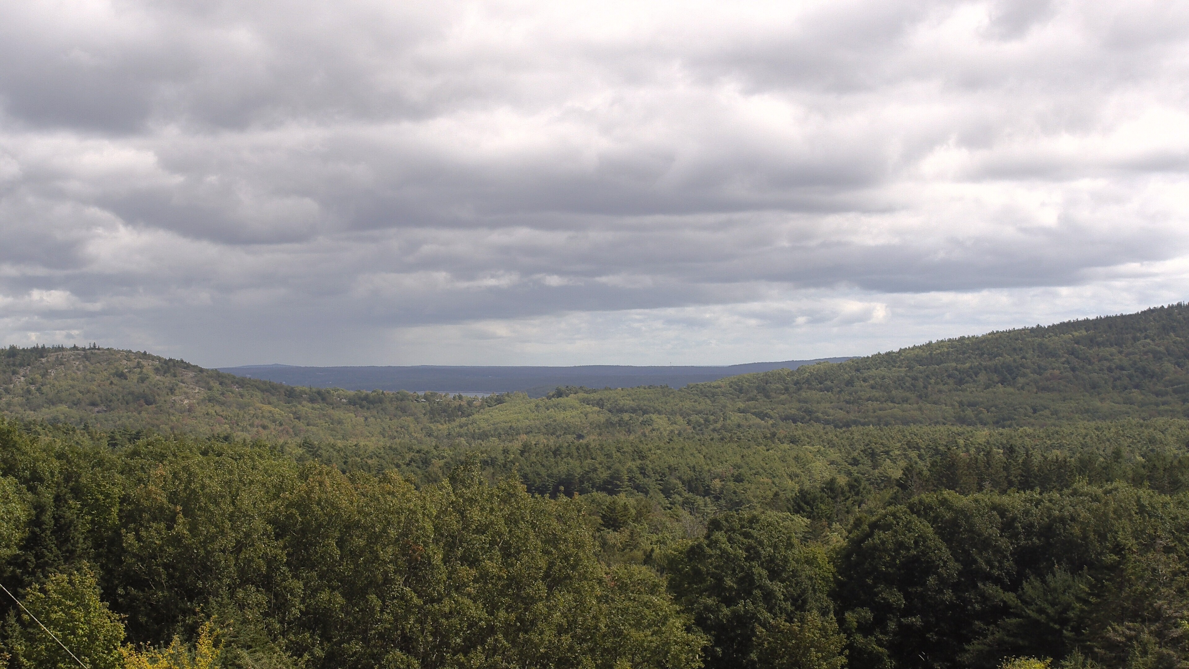 A wooded valley opens toward distant water, seen from McFarland Hill.