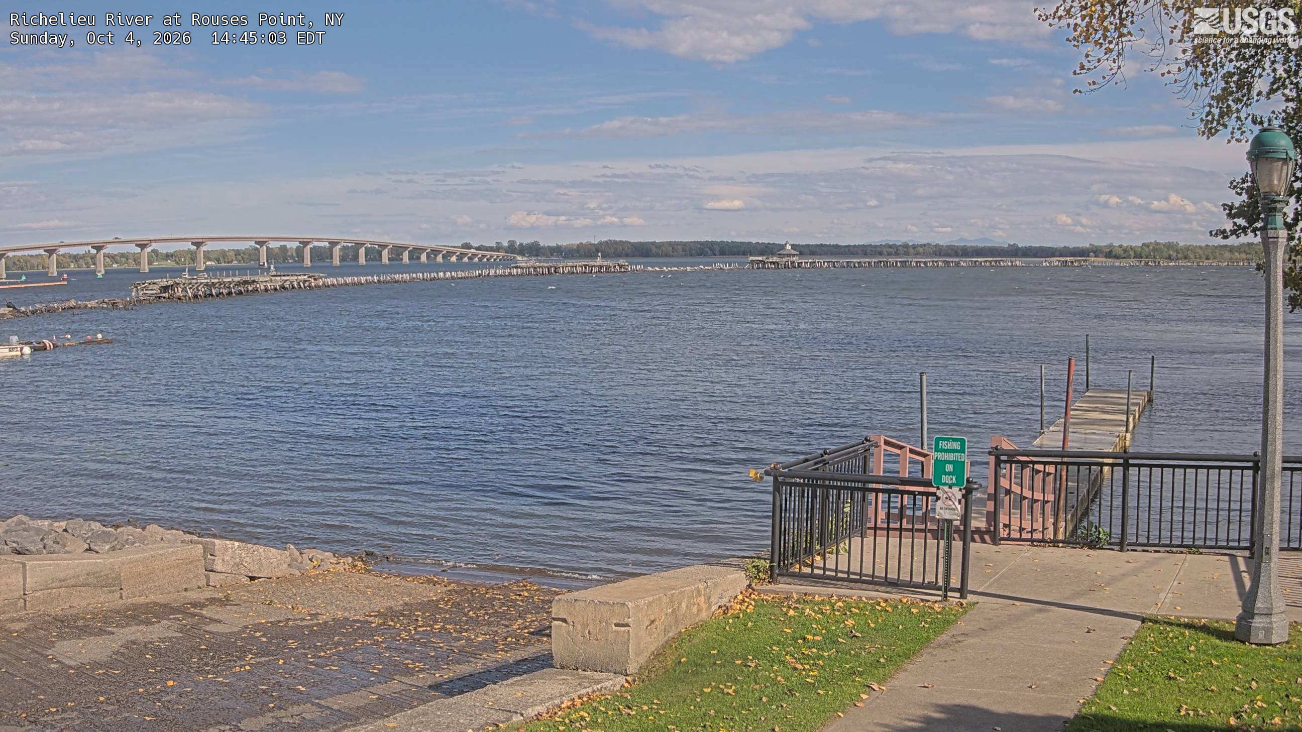 A broad blue river, bridge, waterfront dock and distant wooded horizon; a few near leaves and fallen yellow leaves frame the right edge. Most of the frame is water and sky.