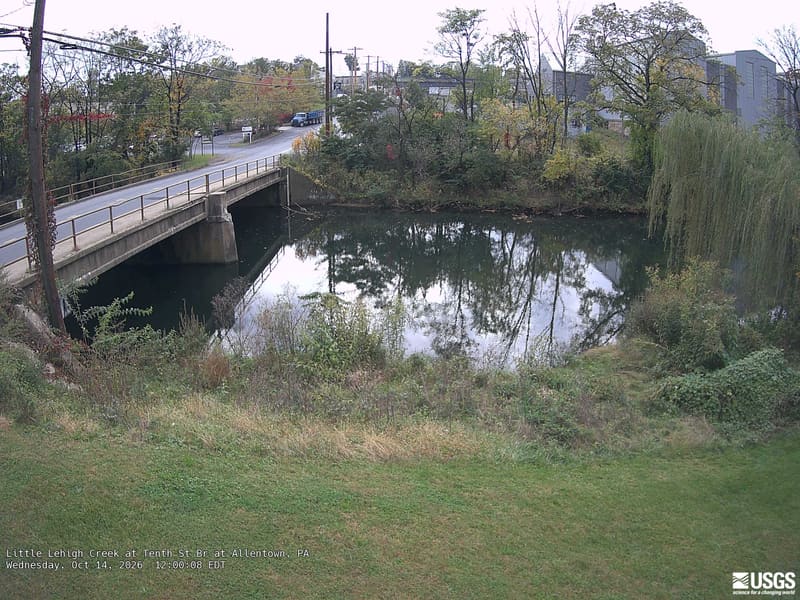 Clear urban creek banks with several trees, including a large green drooping crown at right and yellow/red patches across the road. Buildings and bridge remain prominent; the view represents this local setting.