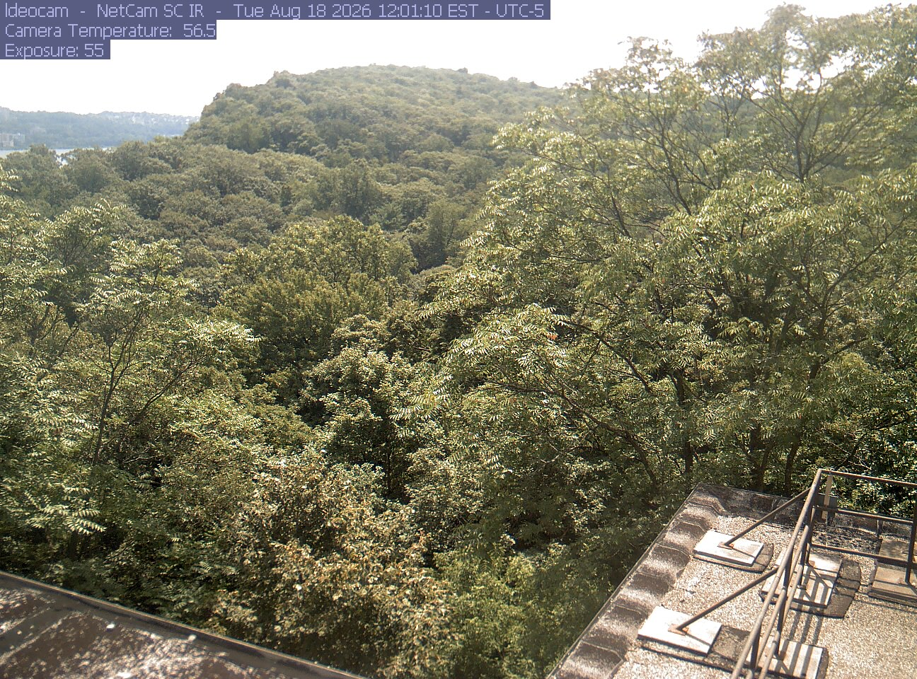 A wooded ridge rises behind close canopy at Lamont–Doherty Earth Observatory.