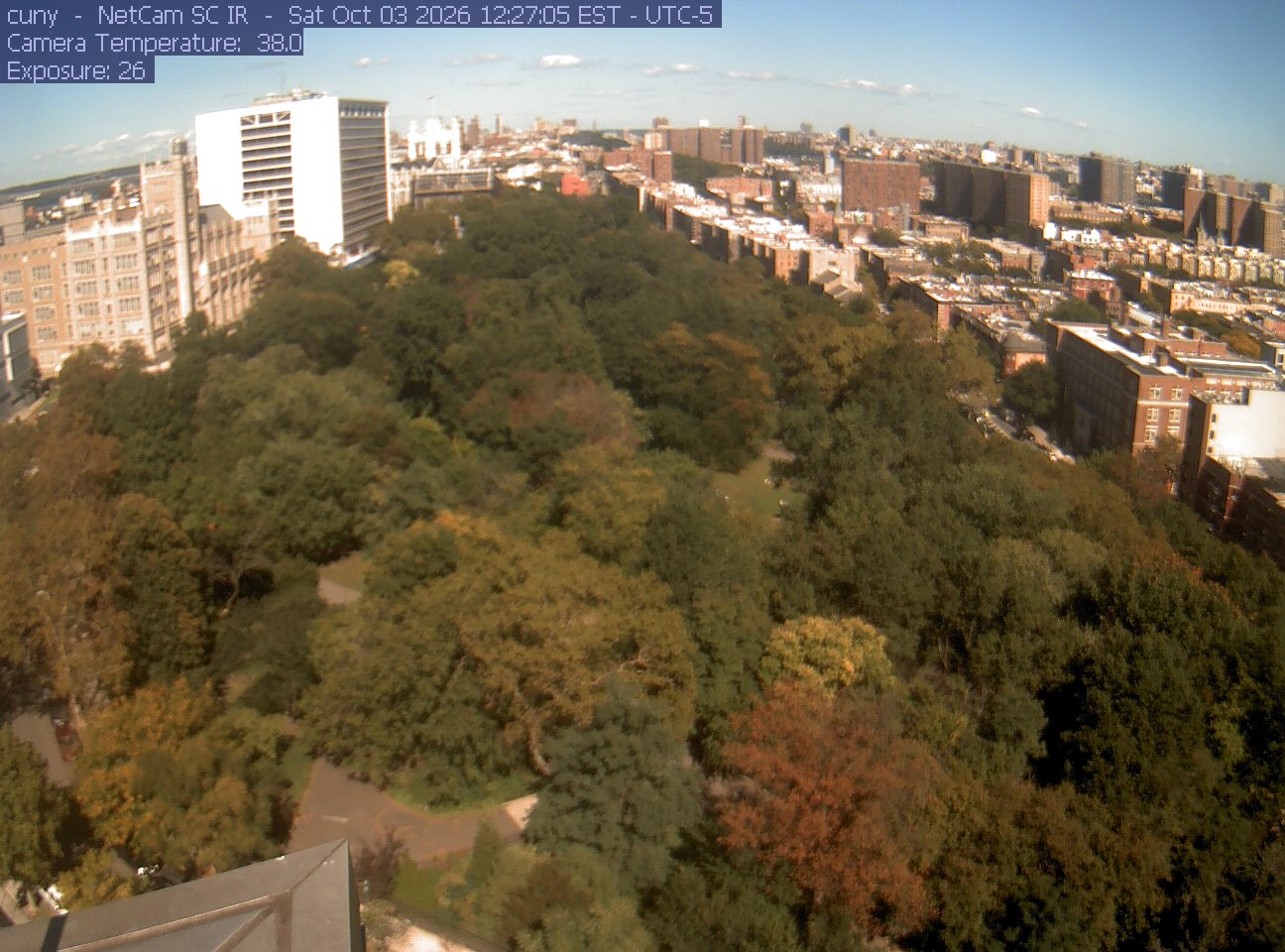 A large city park canopy fills the foreground between surrounding buildings. Green, yellow, bronze and a few orange-red crowns are individually distinguishable despite mild general softness.