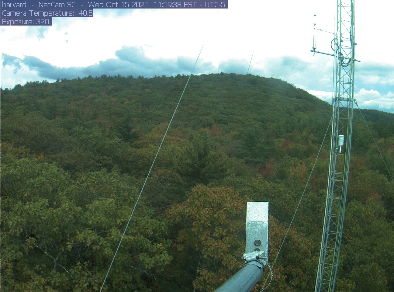 Forest canopy surrounds the tower, with a mast and instruments in the foreground.
