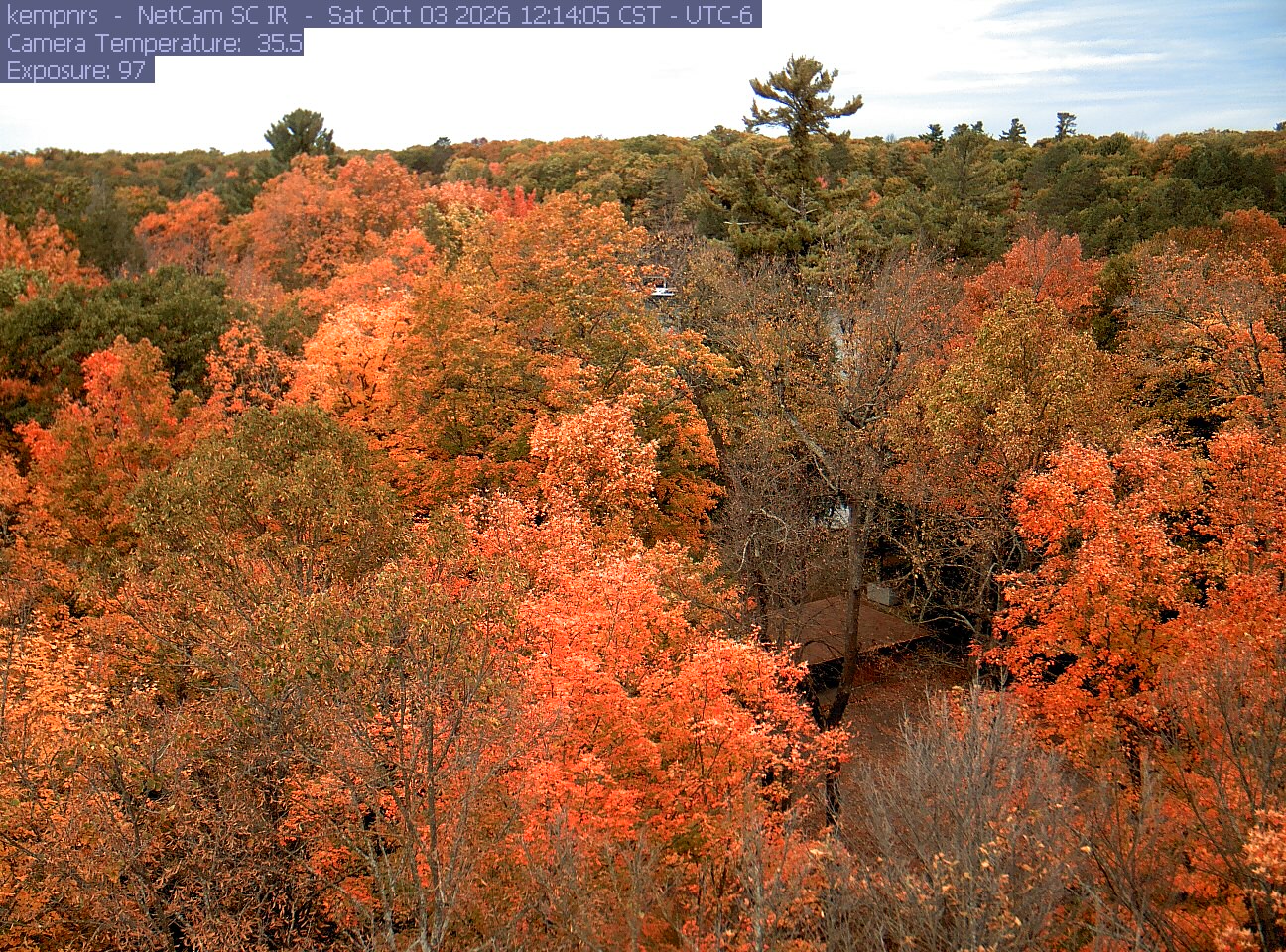 Brilliant orange and red crowns fill a mixed woodland view, with darker conifers and a small cabin roof beneath the trees. The autumn color is broadly clear across the frame.