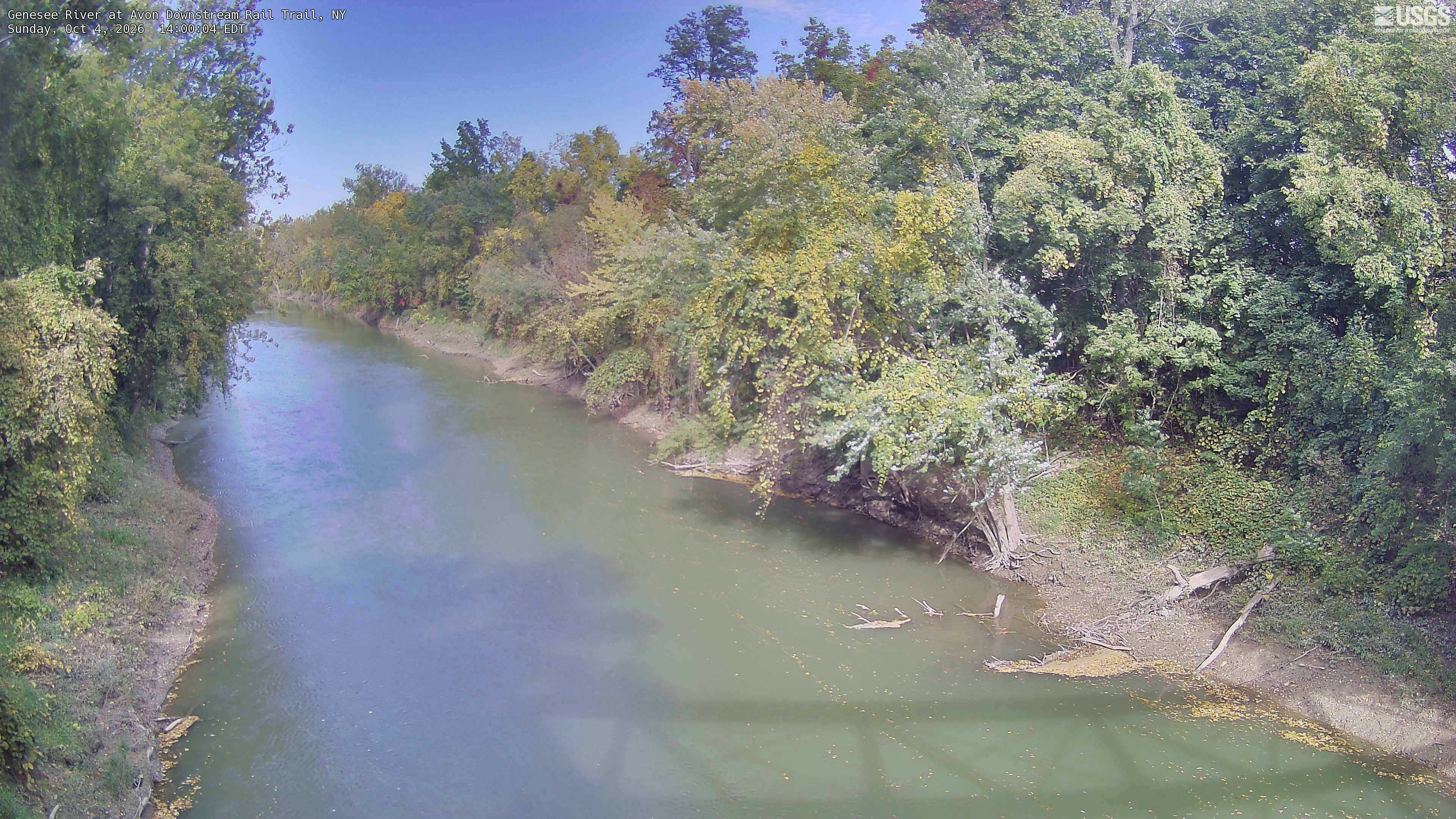 A long river bend fills the center, with large, clearly readable tree crowns along both banks. Green dominates, with yellow and muted orange through the middle distance. Local riverside crowns only, with some glare on sunlit leaves; no species identification or claim about the whole Genesee valley.
