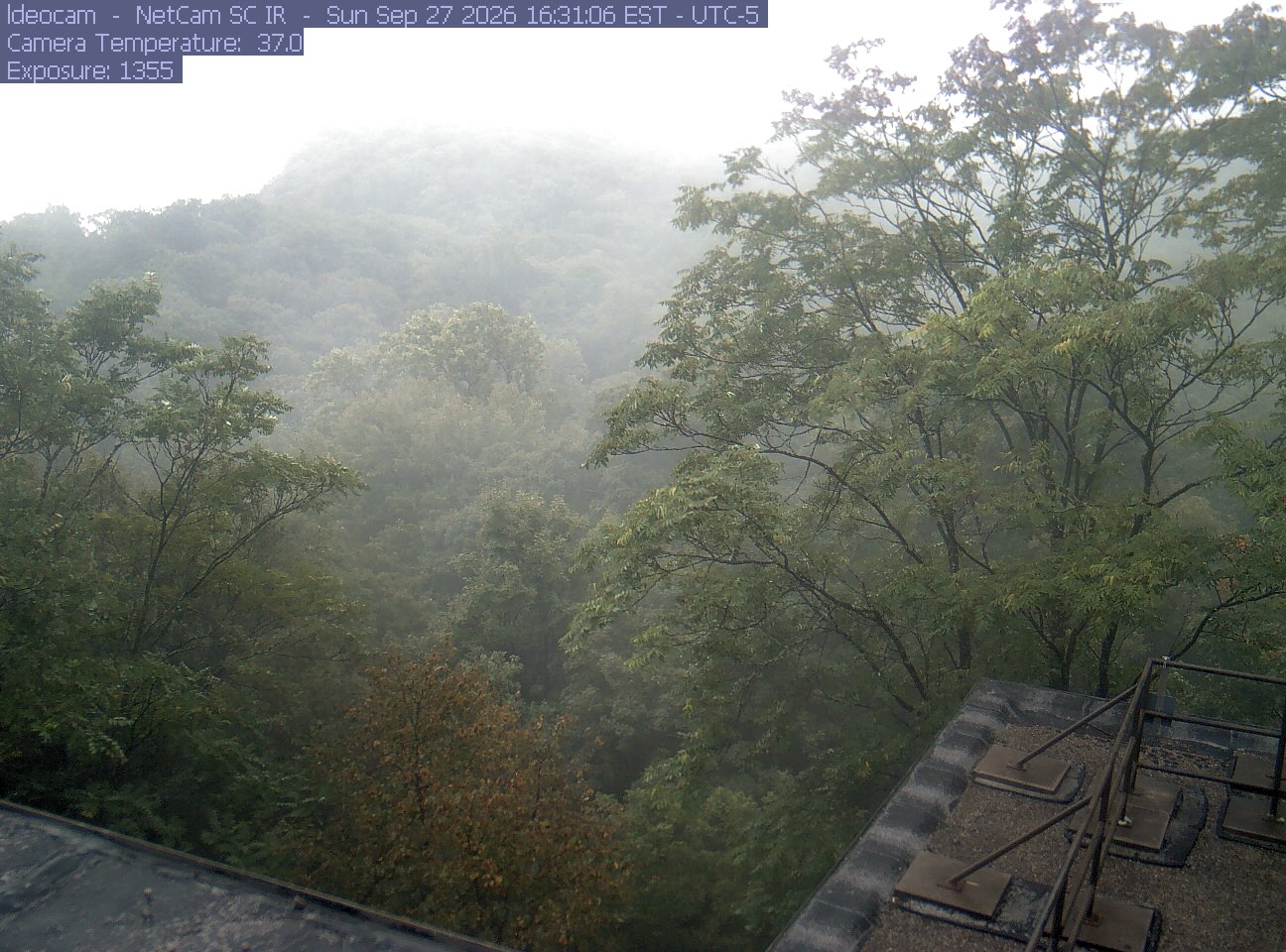 A wooded ridge rises behind close canopy at Lamont–Doherty Earth Observatory.