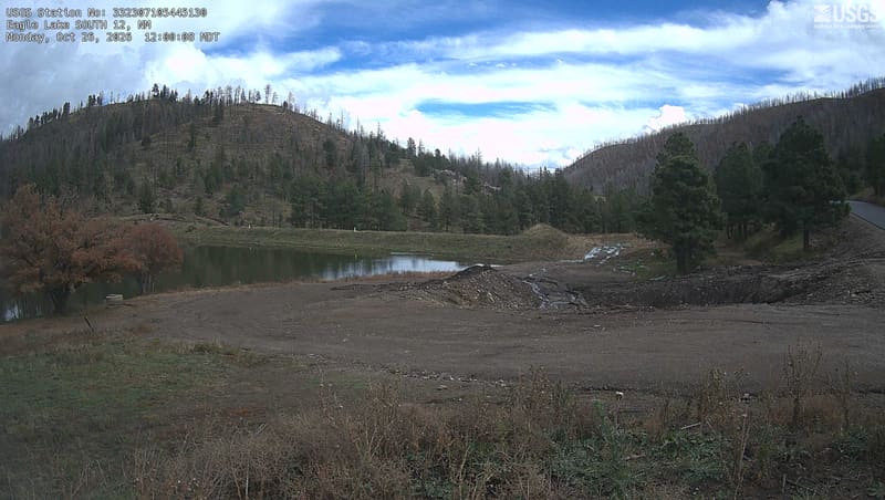 Many bare trees stand on the hills above the small lake, among scattered green conifers. A tree at lower left still carries gold and rust leaves, while worked earth lies across the foreground.