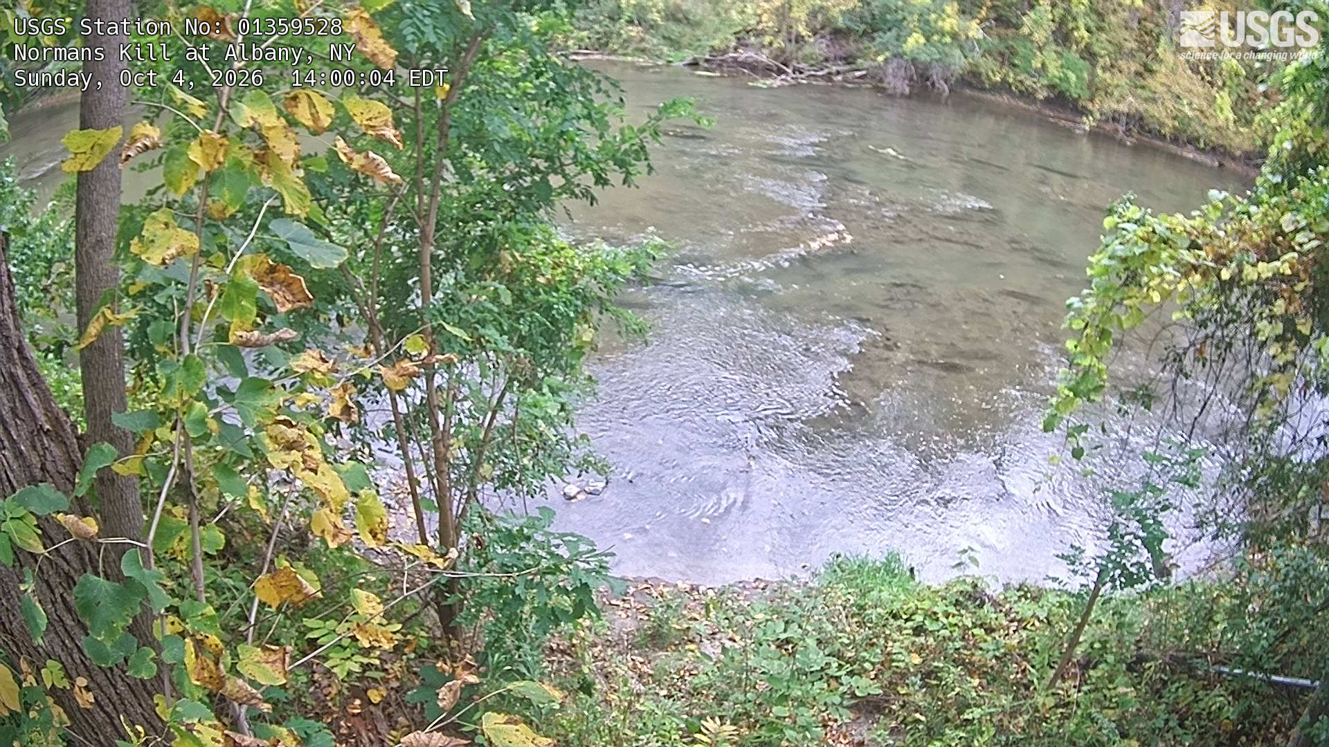 A small river framed closely by green and yellow leaves, with yellowing trees on the far bank. This is an intimate riverbank view with a few branches in the foreground, not a panorama; individual leaf aging or damage is not a regional foliage forecast.