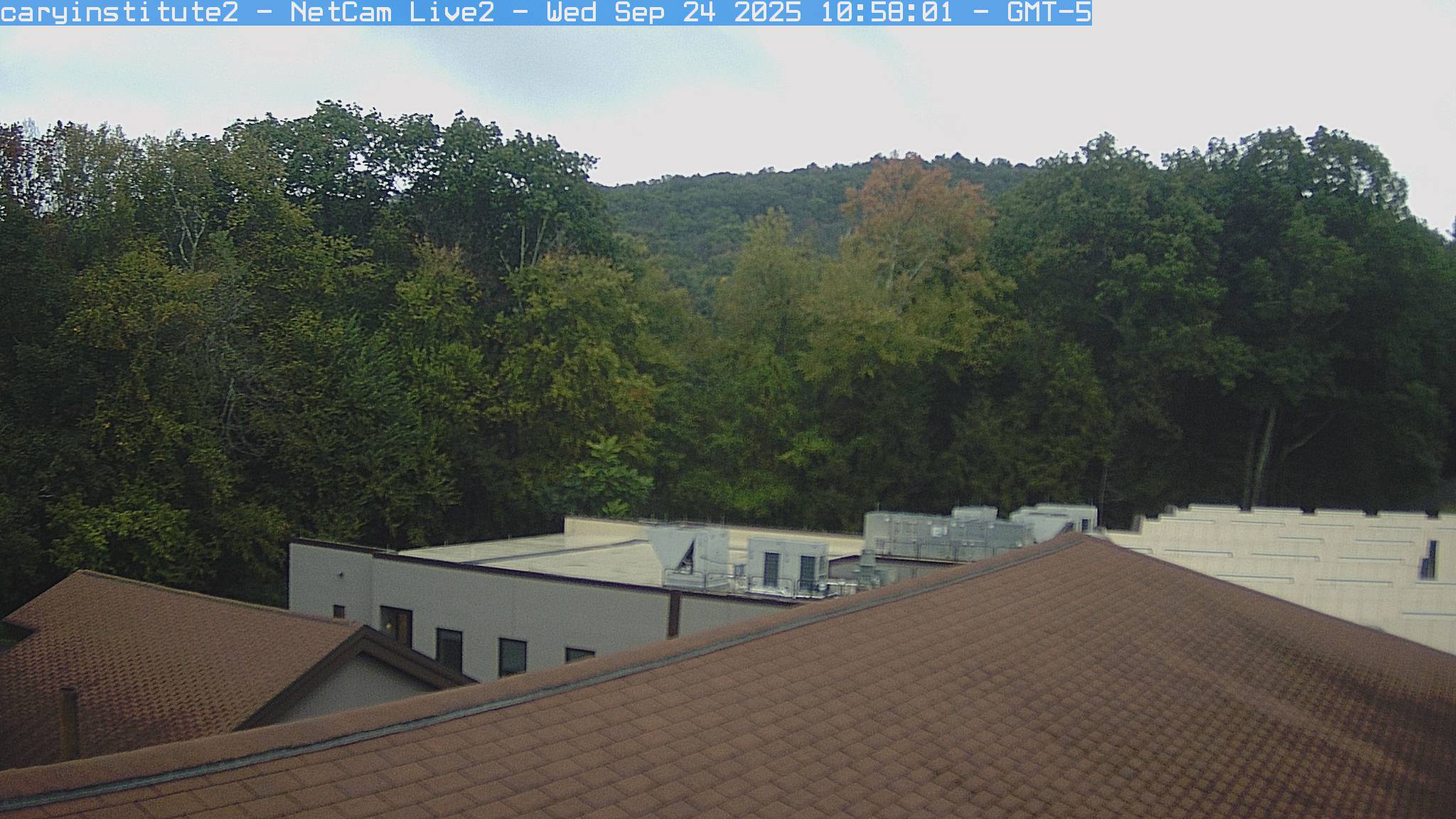 A rooftop camera at the Cary Institute in Millbrook looks over a shingle roof and a flat-roofed building to broadleaf woods and a ridge.