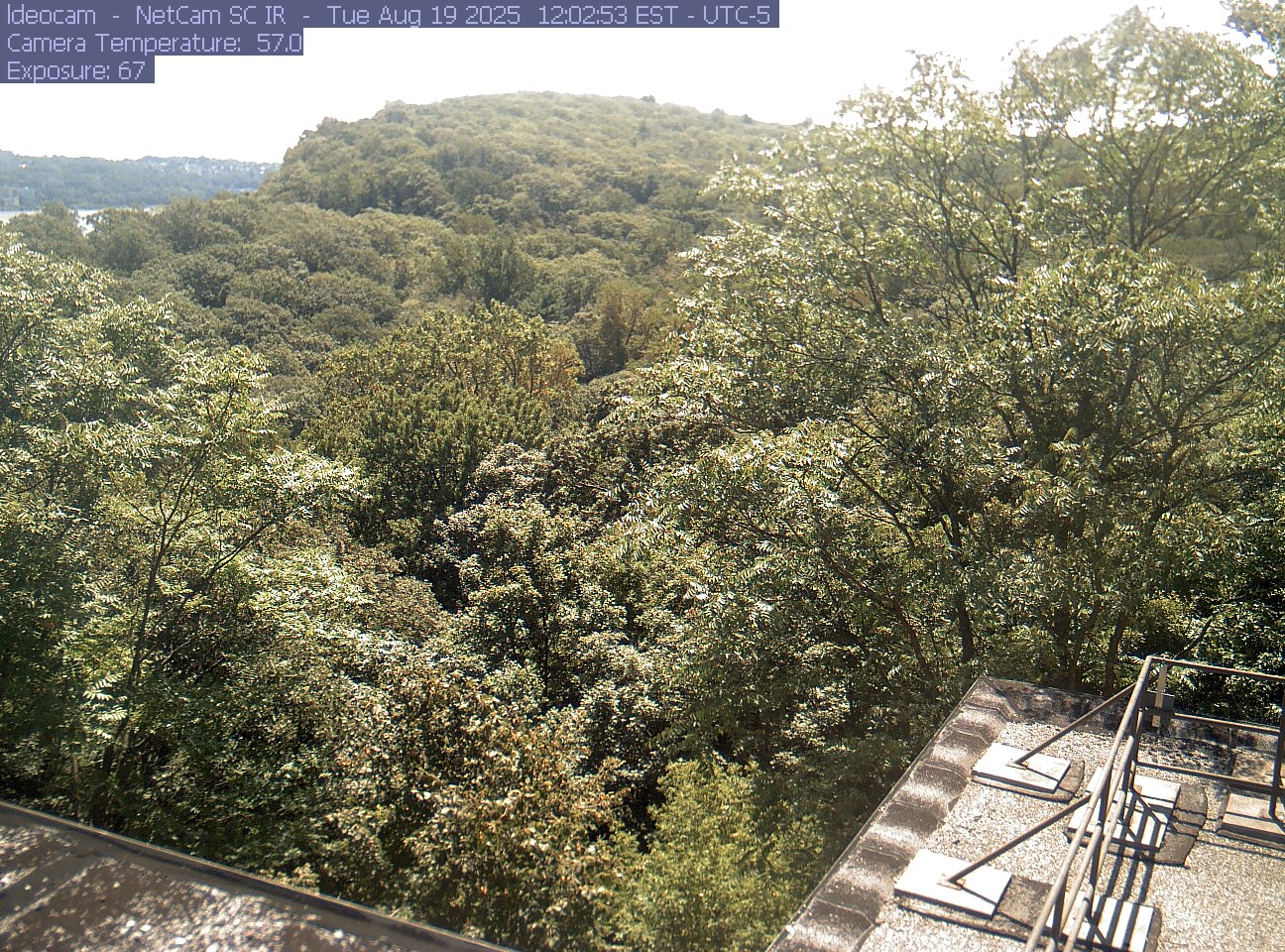 A wooded ridge rises behind close canopy at Lamont–Doherty Earth Observatory.