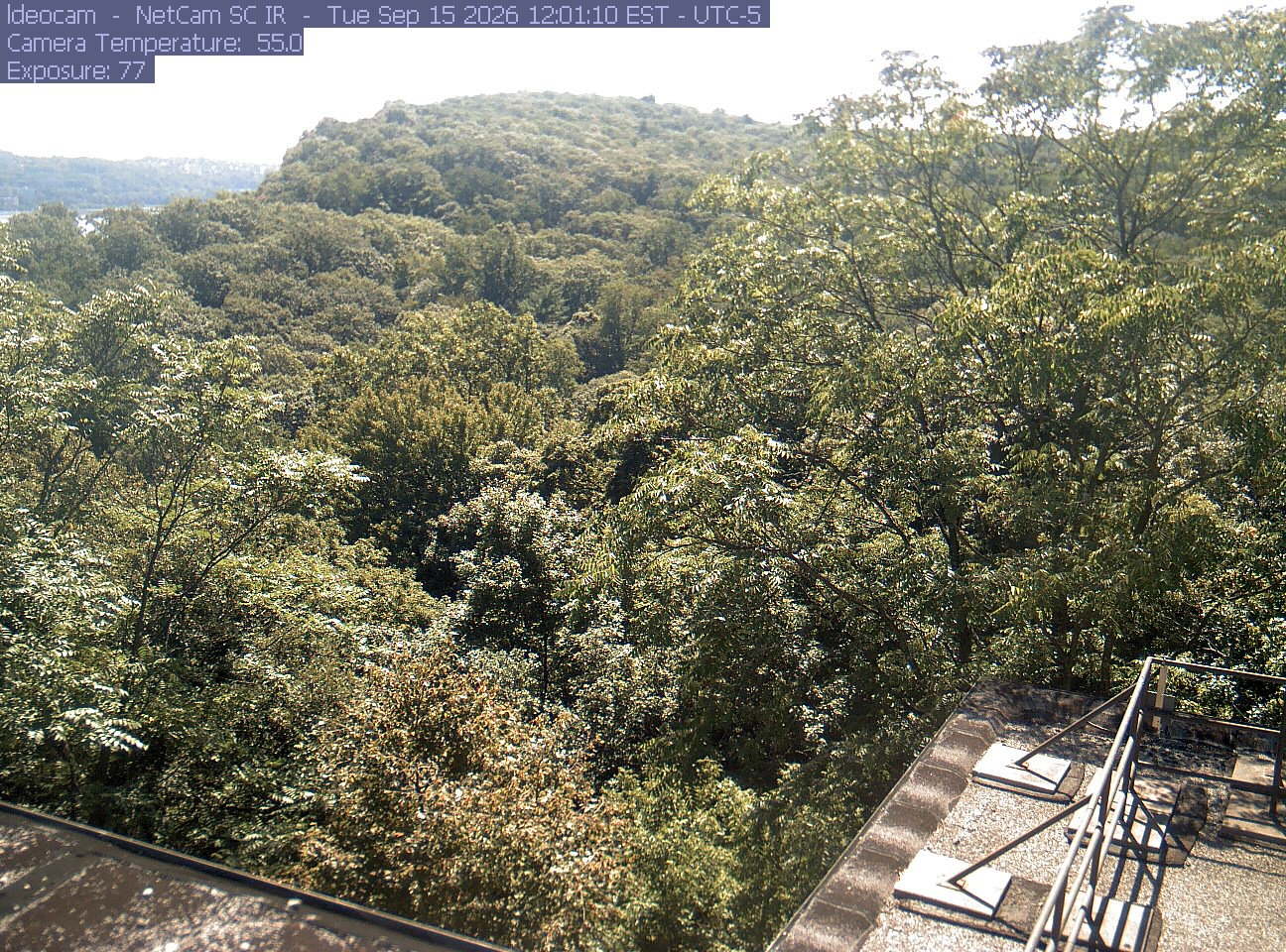 A wooded ridge rises behind close canopy at Lamont–Doherty Earth Observatory.