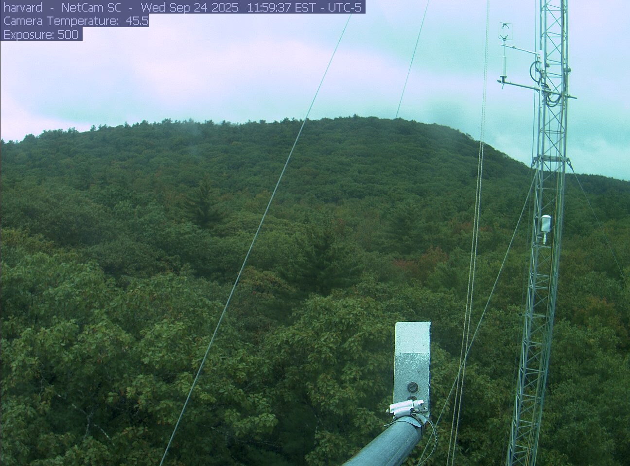Forest canopy surrounds the tower, with a mast and instruments in the foreground.