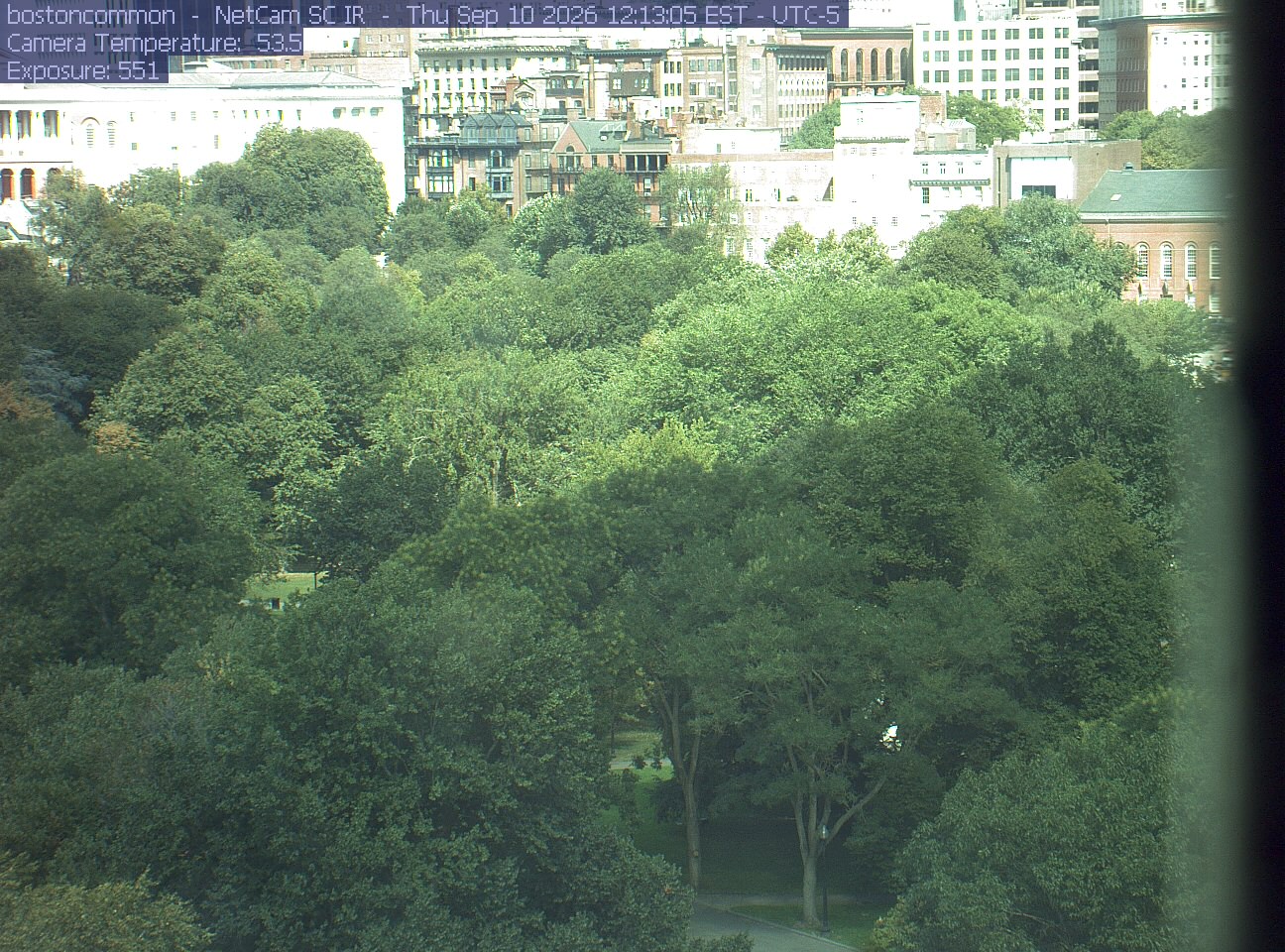 Buildings rise behind the park canopy; a fixed structure covers part of the right edge.
