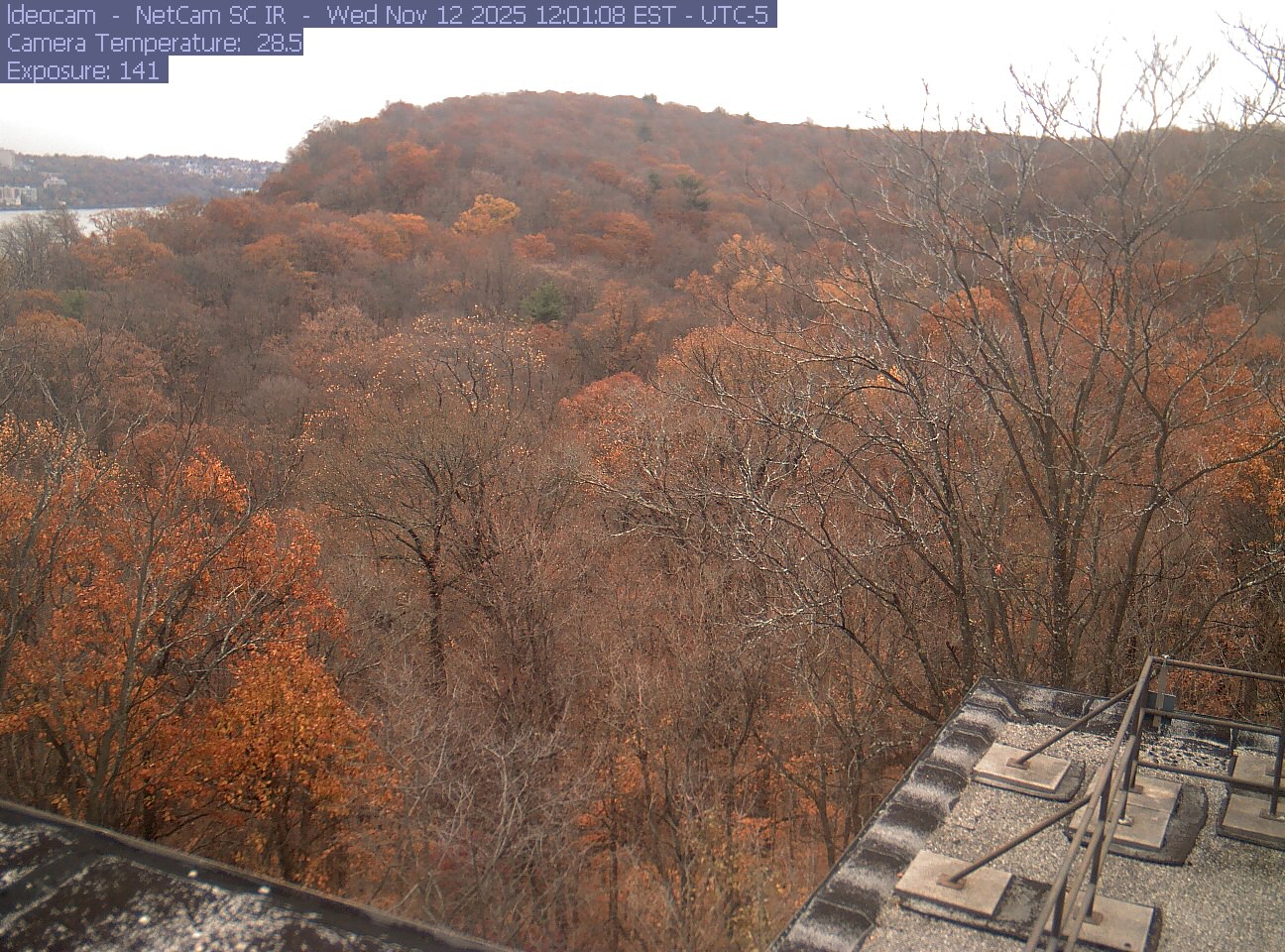 A wooded ridge rises behind close canopy at Lamont–Doherty Earth Observatory.