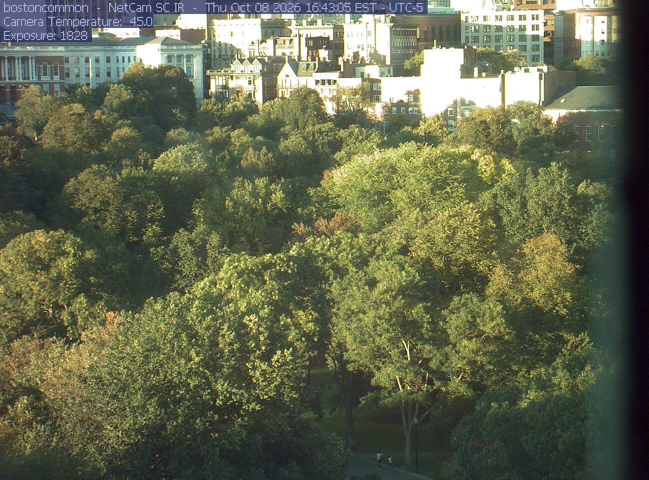 Buildings rise behind the park canopy; a fixed structure covers part of the right edge.