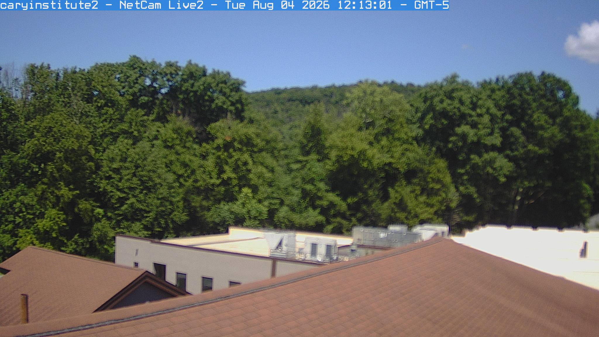 A rooftop camera at the Cary Institute in Millbrook looks over a shingle roof and a flat-roofed building to broadleaf woods and a ridge.