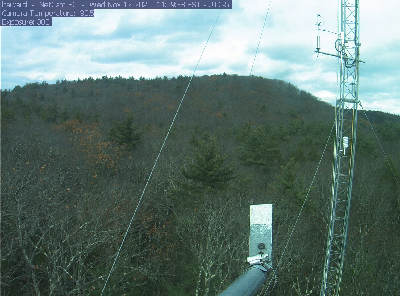 Forest canopy surrounds the tower, with a mast and instruments in the foreground.