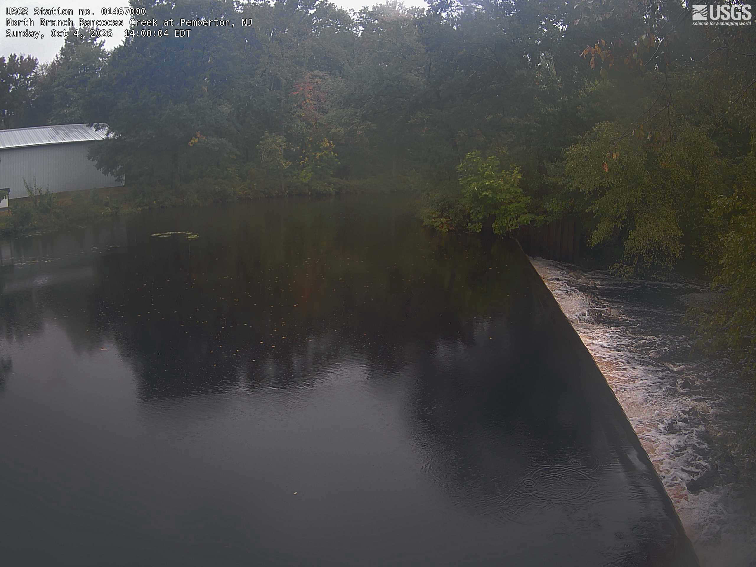 A tree-lined pond above a weir has some yellow and red leaves, but deep shade and haze obscure much of the canopy.