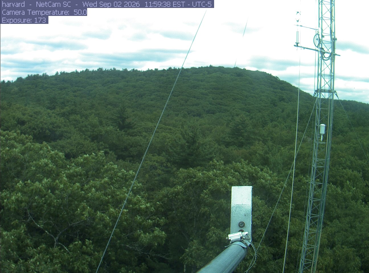 Forest canopy surrounds the tower, with a mast and instruments in the foreground.