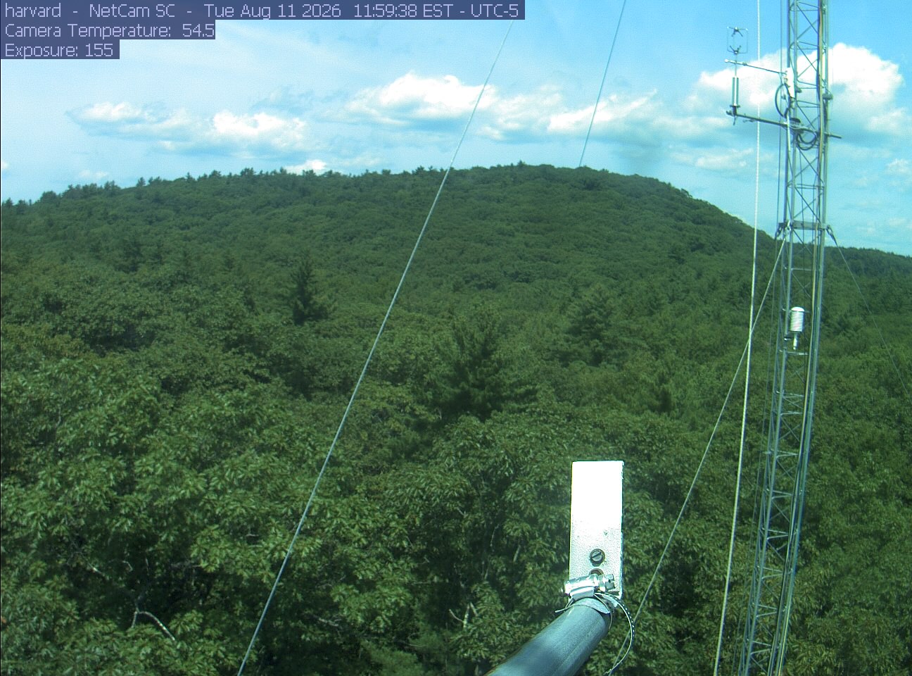 Forest canopy surrounds the tower, with a mast and instruments in the foreground.