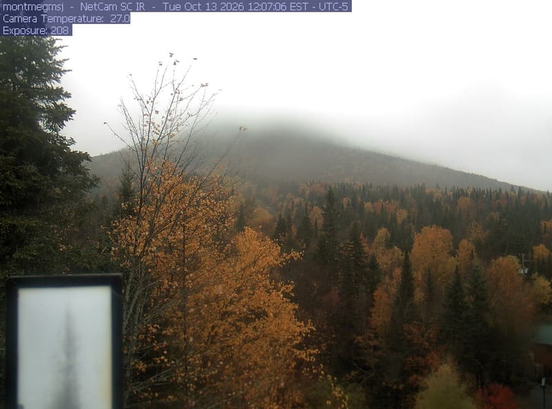 Gold and orange broadleaf crowns spread through the foreground and mountain slope among dark conifers. An instrument box at lower left and a small roof at lower right obscure limited parts of the view.