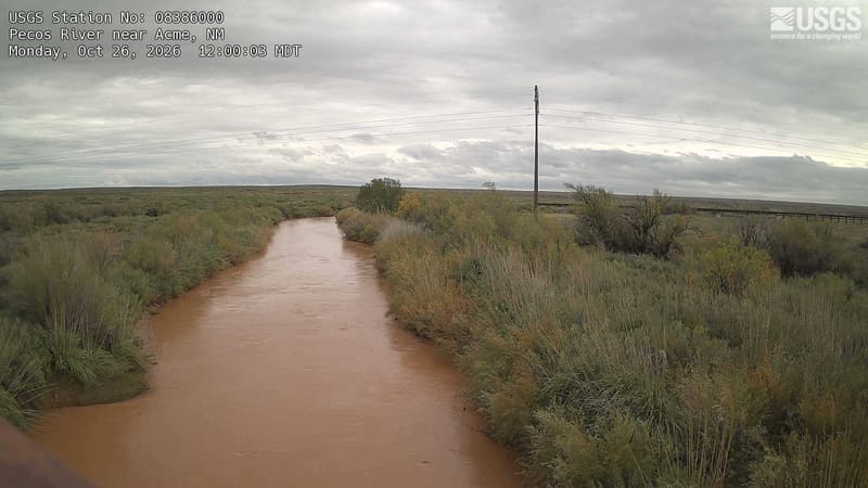 The slow river passes through dry open country between thick shrubs and reeds. Olive leaves and muted yellow patches surround a few small trees, and power lines cross the sky.