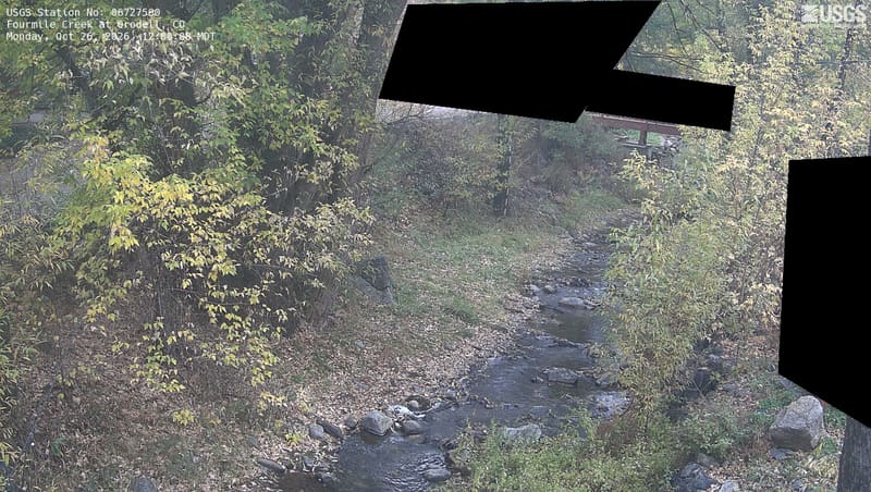 Narrow rocky stream enclosed by dense green and pale-yellow deciduous branches, with leaf litter below. Black privacy masks obscure the upper center and right edge; branches remain visible along the creek.
