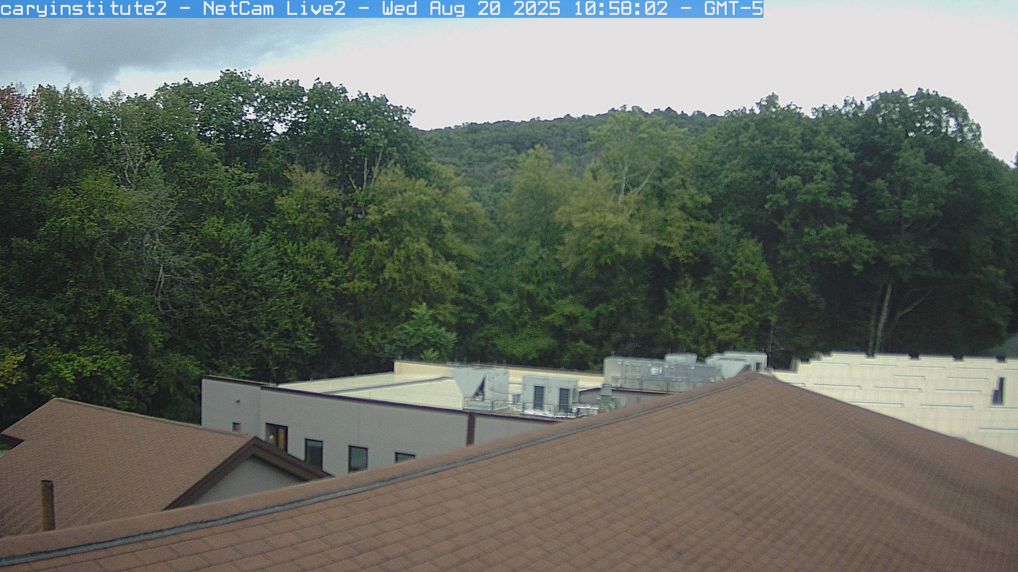 A rooftop camera at the Cary Institute in Millbrook looks over a shingle roof and a flat-roofed building to broadleaf woods and a ridge.
