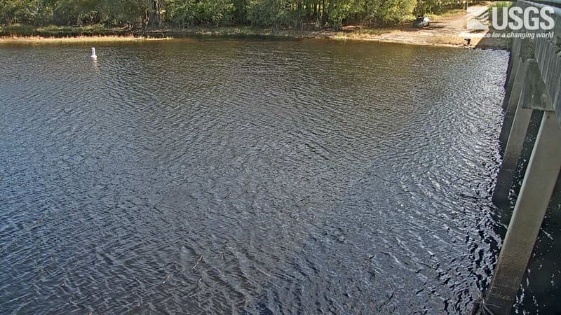 The broad dark Little Pee Dee River beside a bridge pier, with a line of woods on the far shore.
