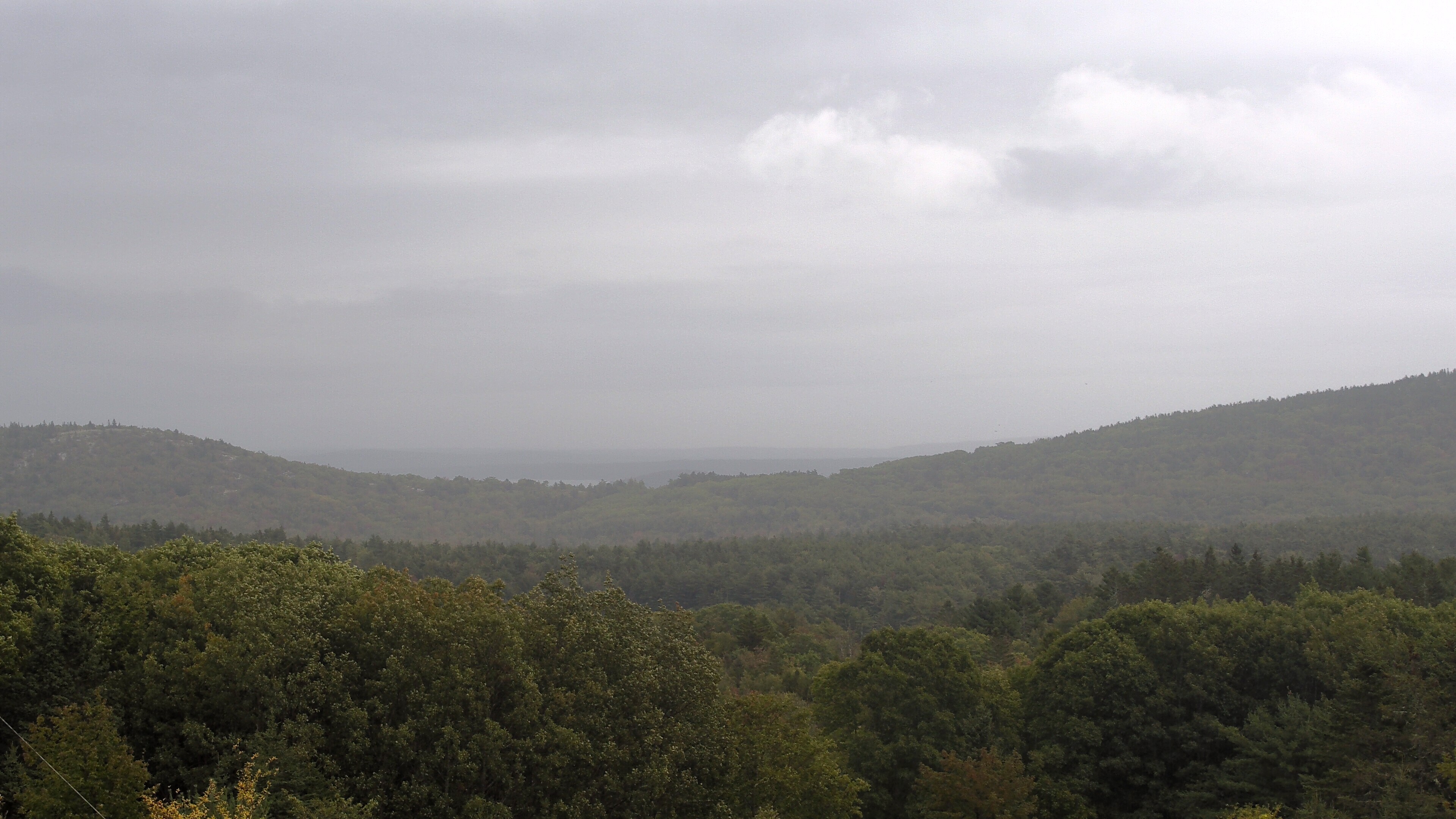 A wooded valley opens toward distant water, seen from McFarland Hill.