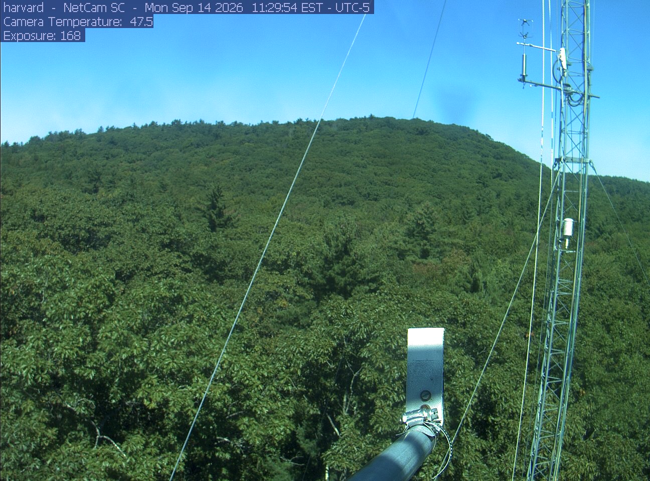 Forest canopy surrounds the tower, with a mast and instruments in the foreground.