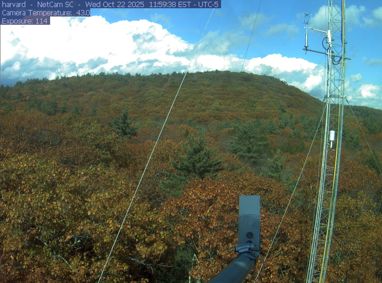 Forest canopy surrounds the tower, with a mast and instruments in the foreground.