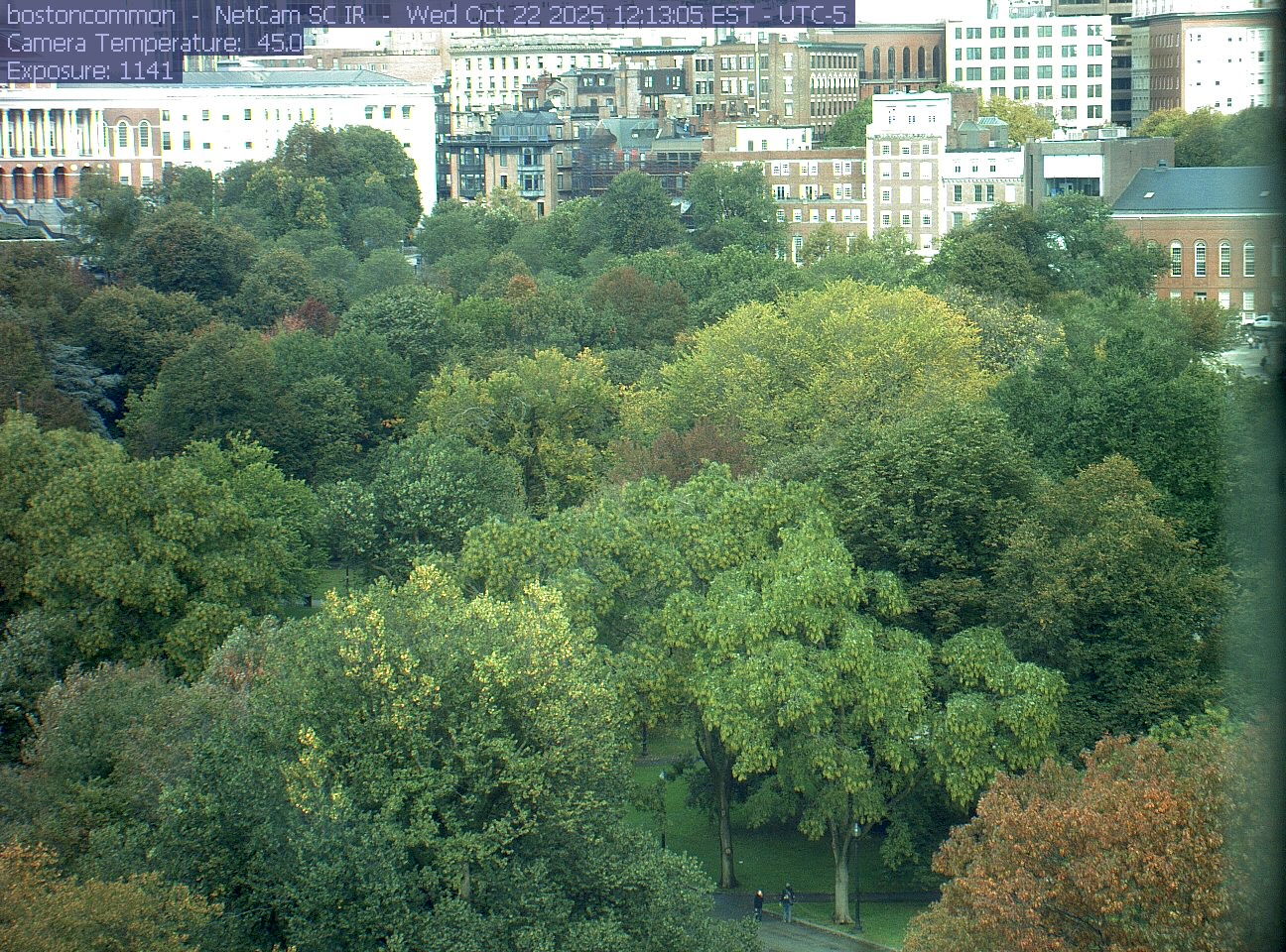 Buildings rise behind the park canopy; a fixed structure covers part of the right edge.