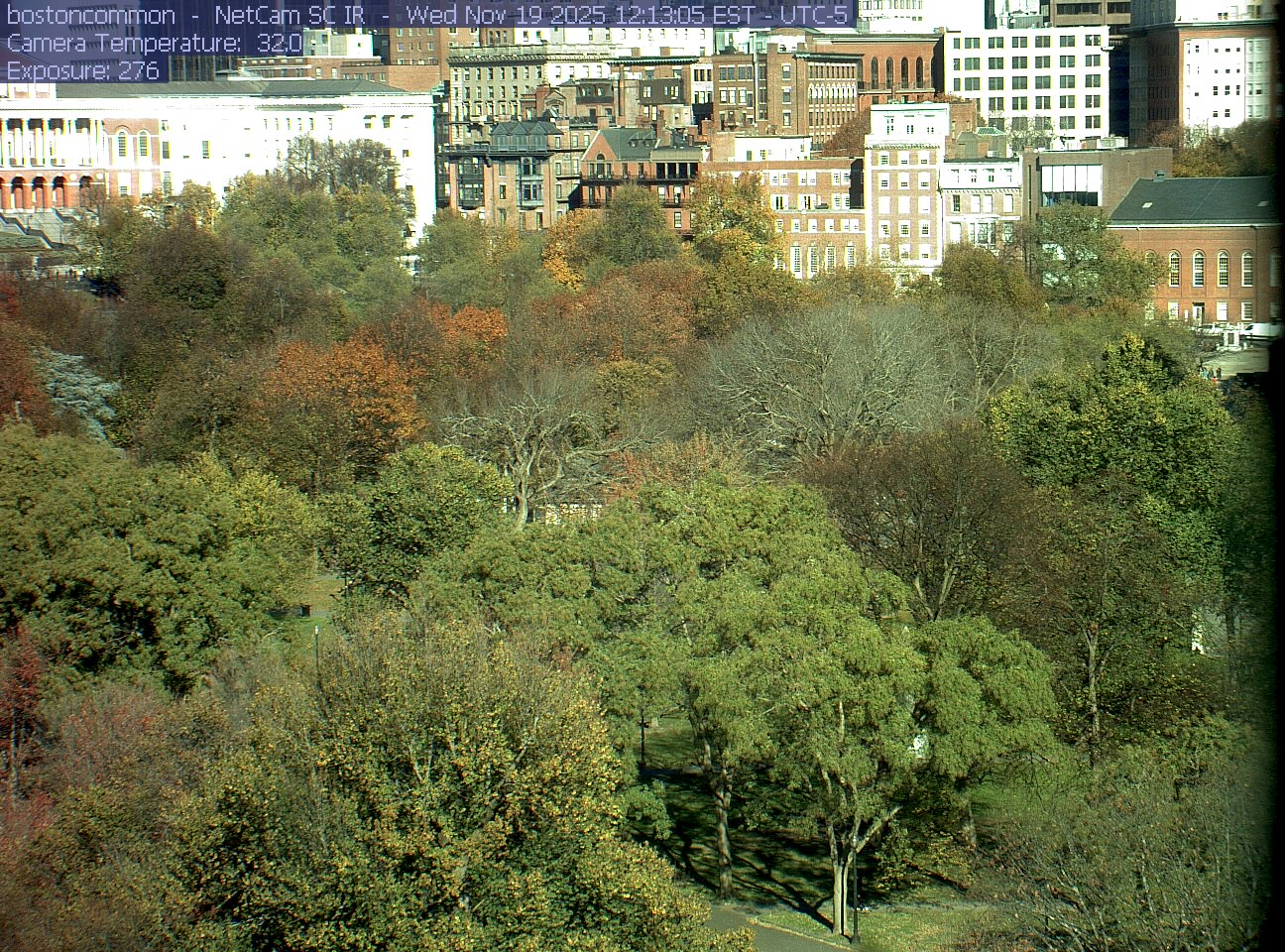 Buildings rise behind the park canopy; a fixed structure covers part of the right edge.